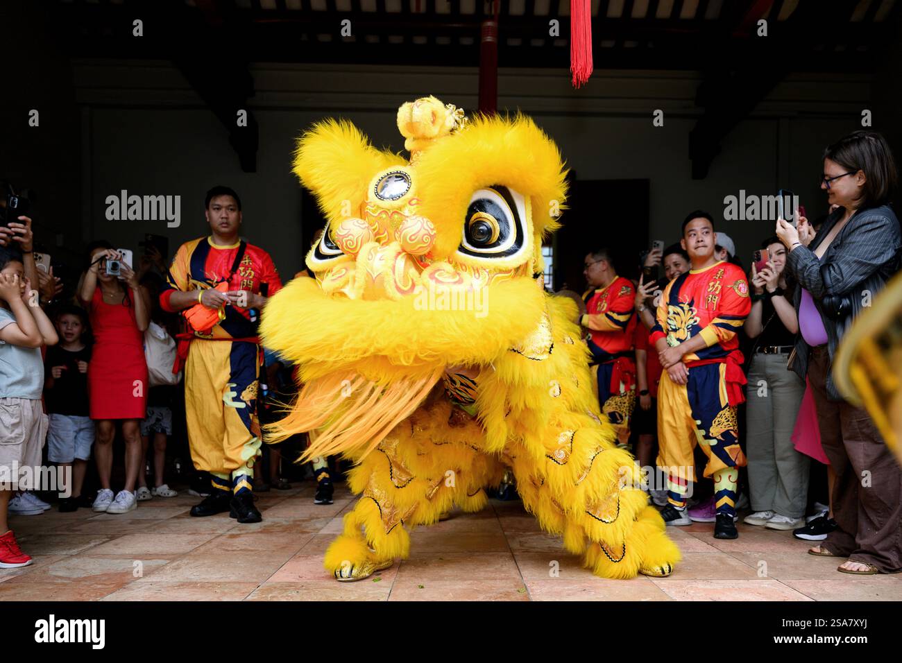chinese new year markham 2025