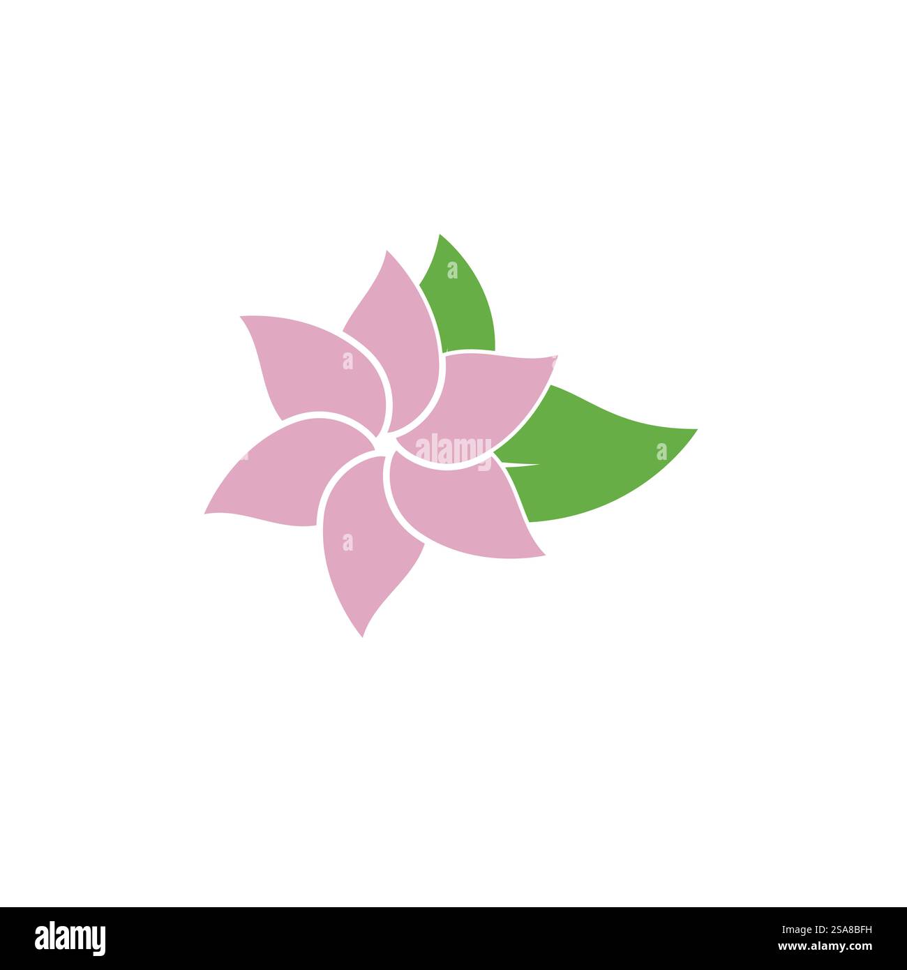 Flower plumeria logo vector element symbol design Stock Vector