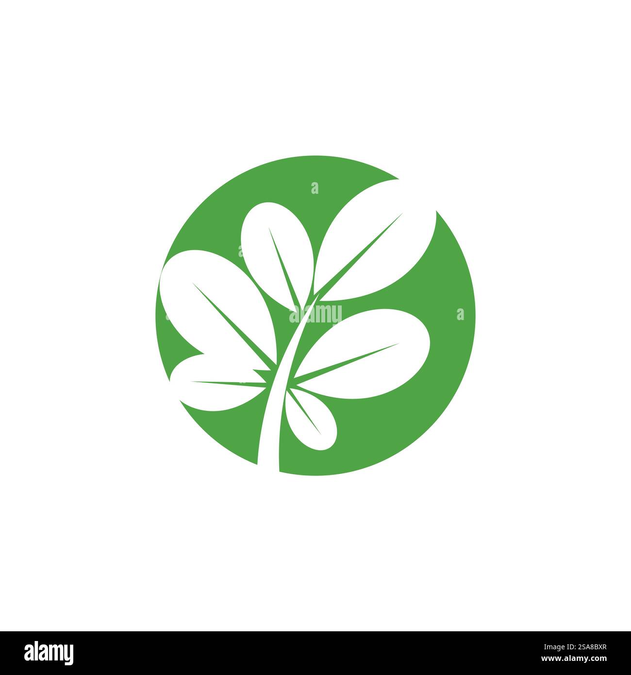 Moringa logo vector template symbol nature Stock Vector