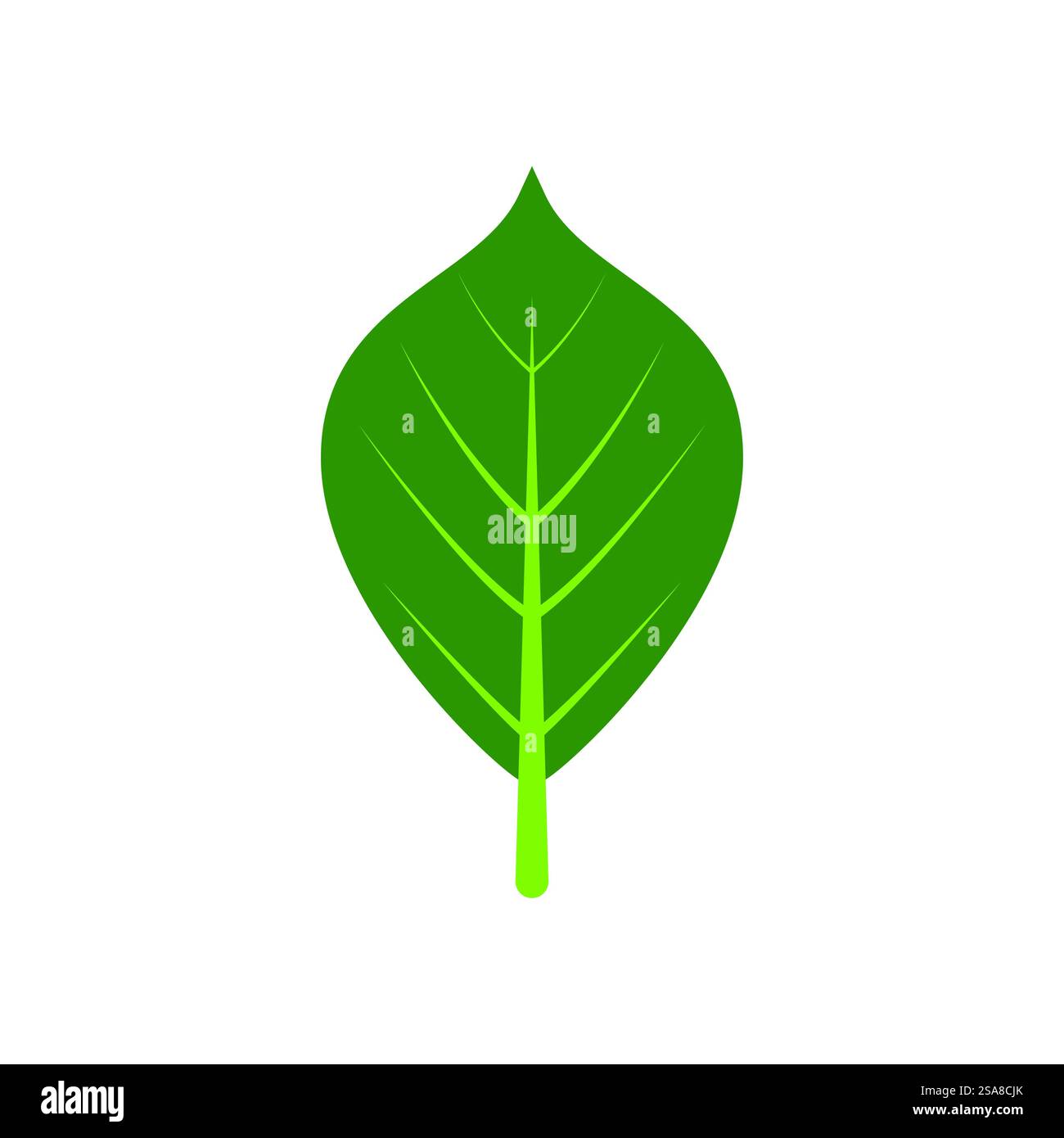 Green leaf logo vector element symbol template Stock Vector Image & Art ...
