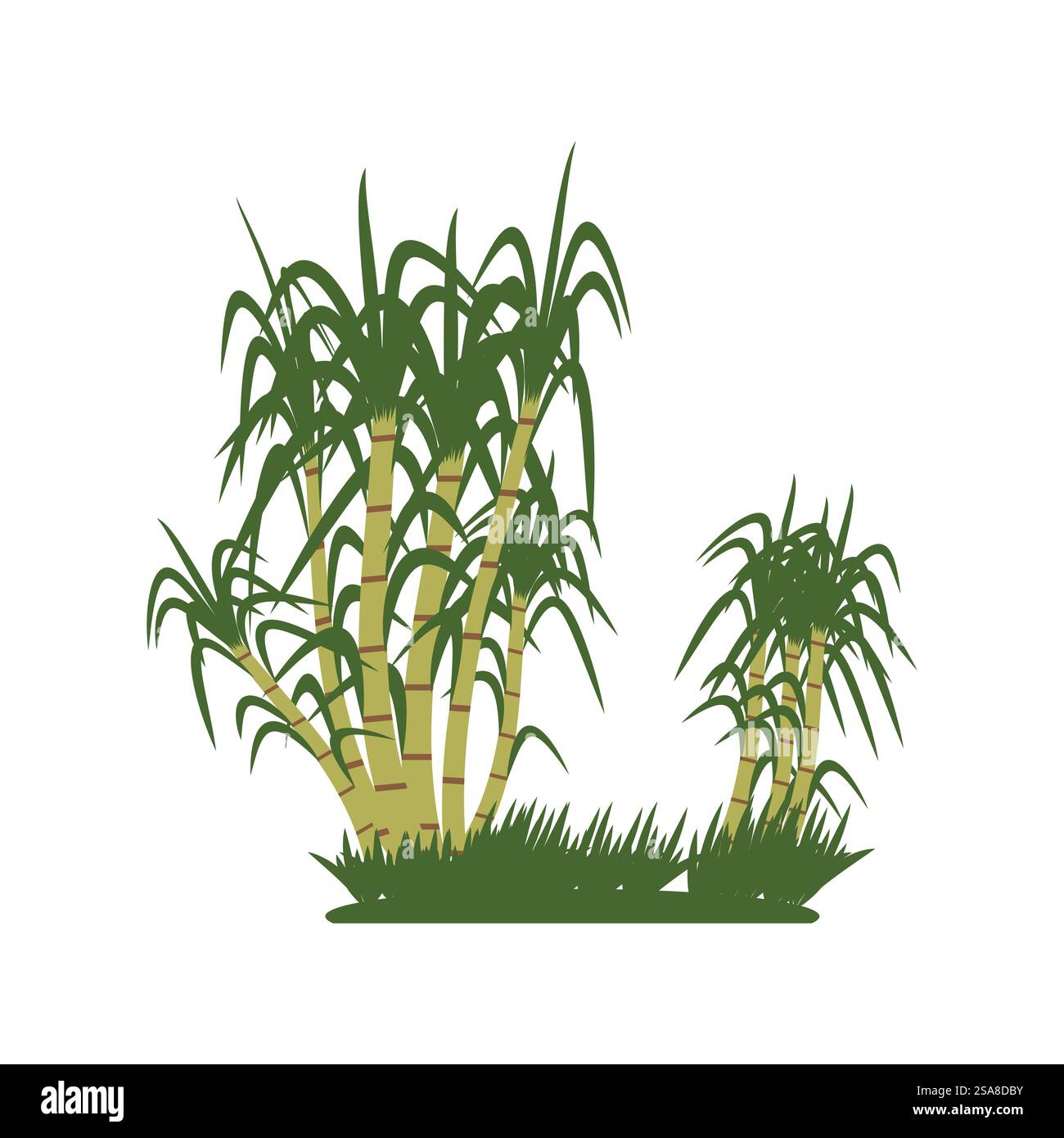 Sugarcane logo vector template symbol design Stock Vector