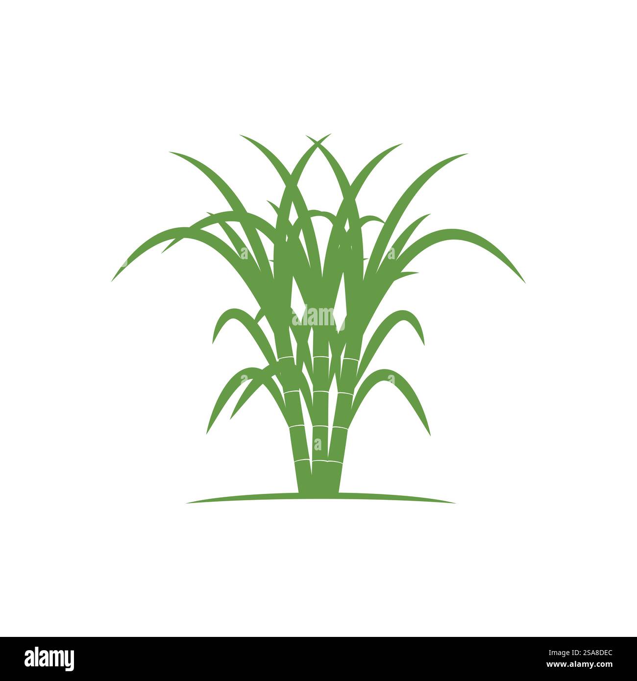 Sugarcane logo vector template symbol design Stock Vector