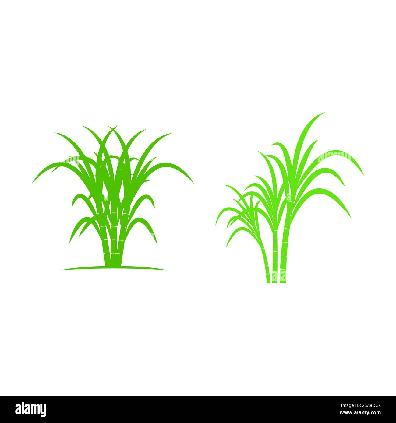 Sugarcane logo vector template symbol design Stock Vector