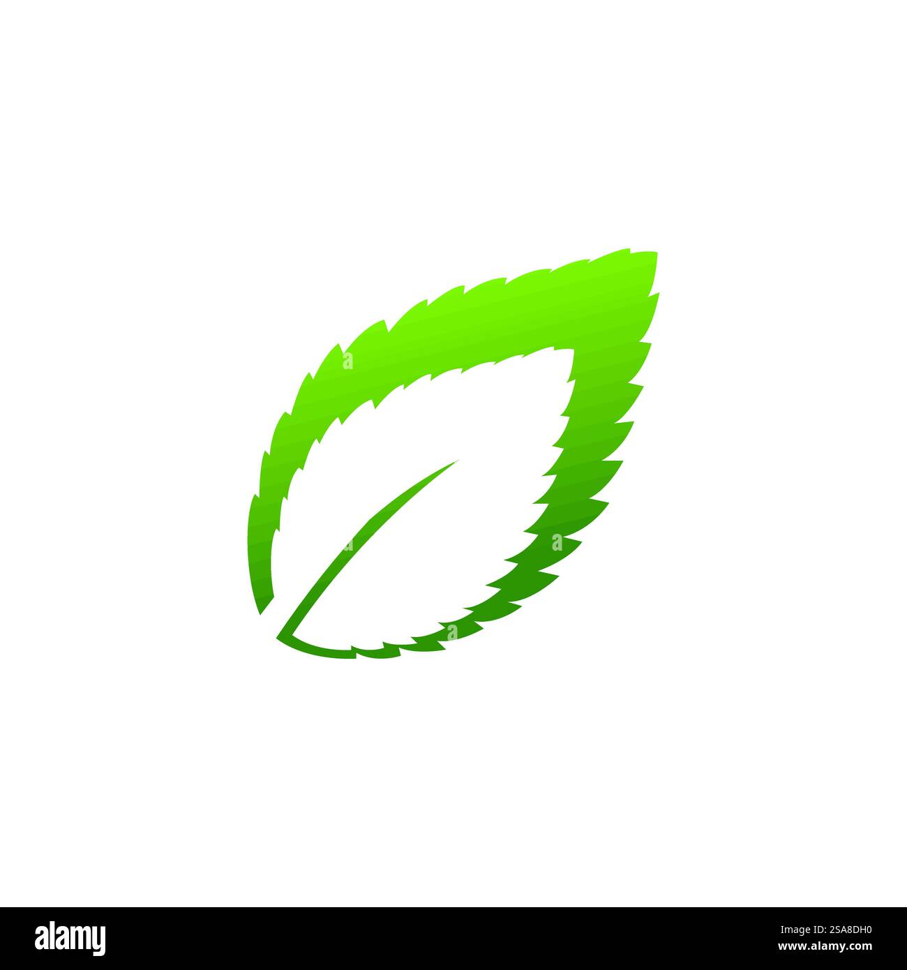 Mint leaf logo vector template symbol design Stock Vector Image & Art ...