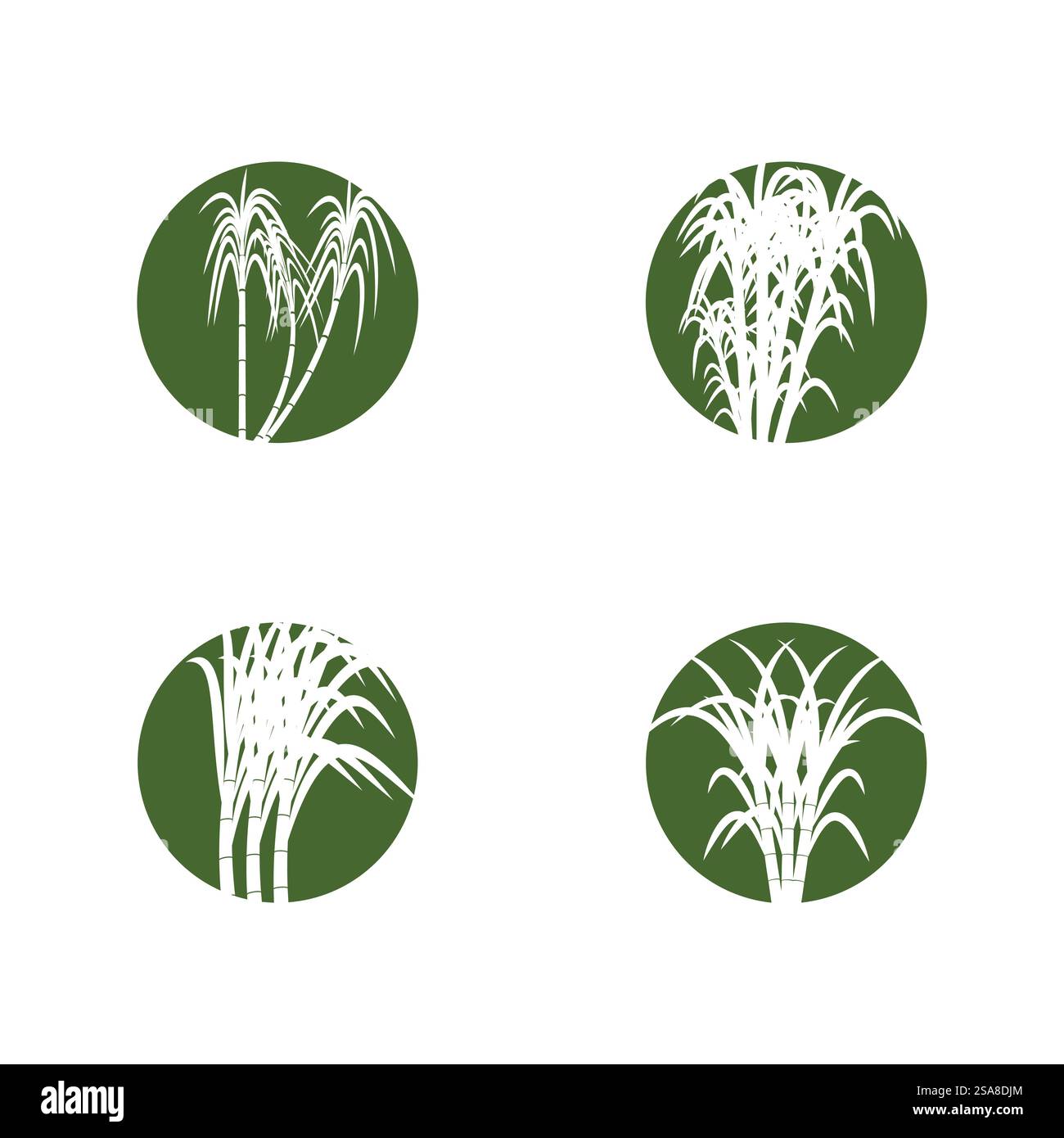 Sugarcane logo vector template symbol design Stock Vector