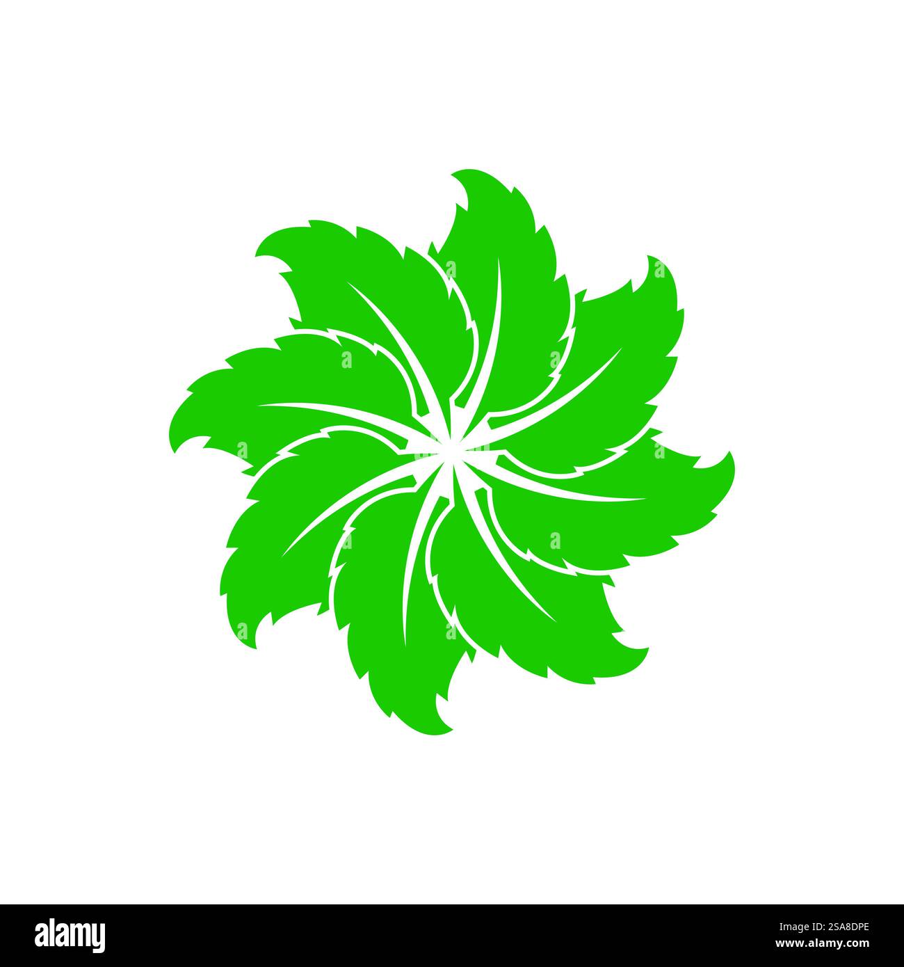 Mint leaf logo vector template symbol design Stock Vector Image & Art ...