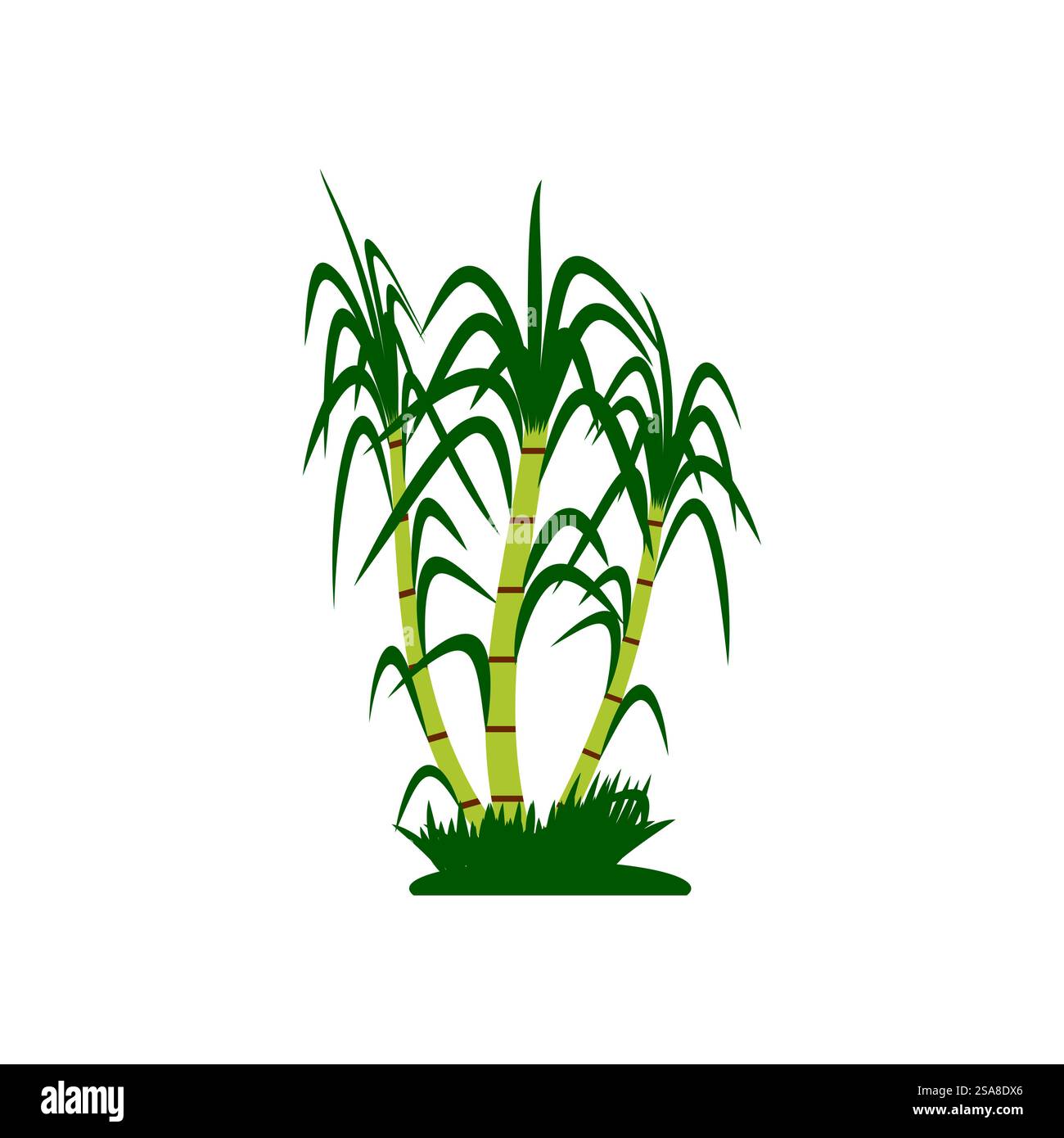 Sugarcane logo vector template symbol design Stock Vector