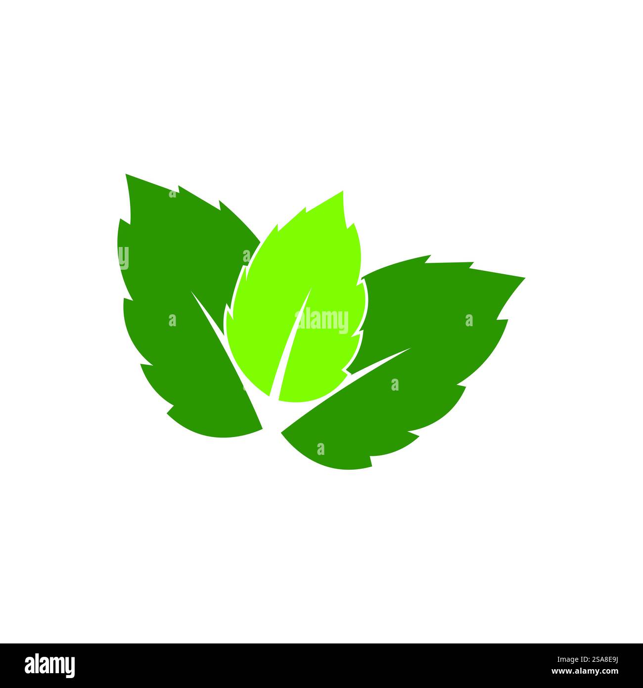 Mint leaf logo vector template symbol design Stock Vector Image & Art ...