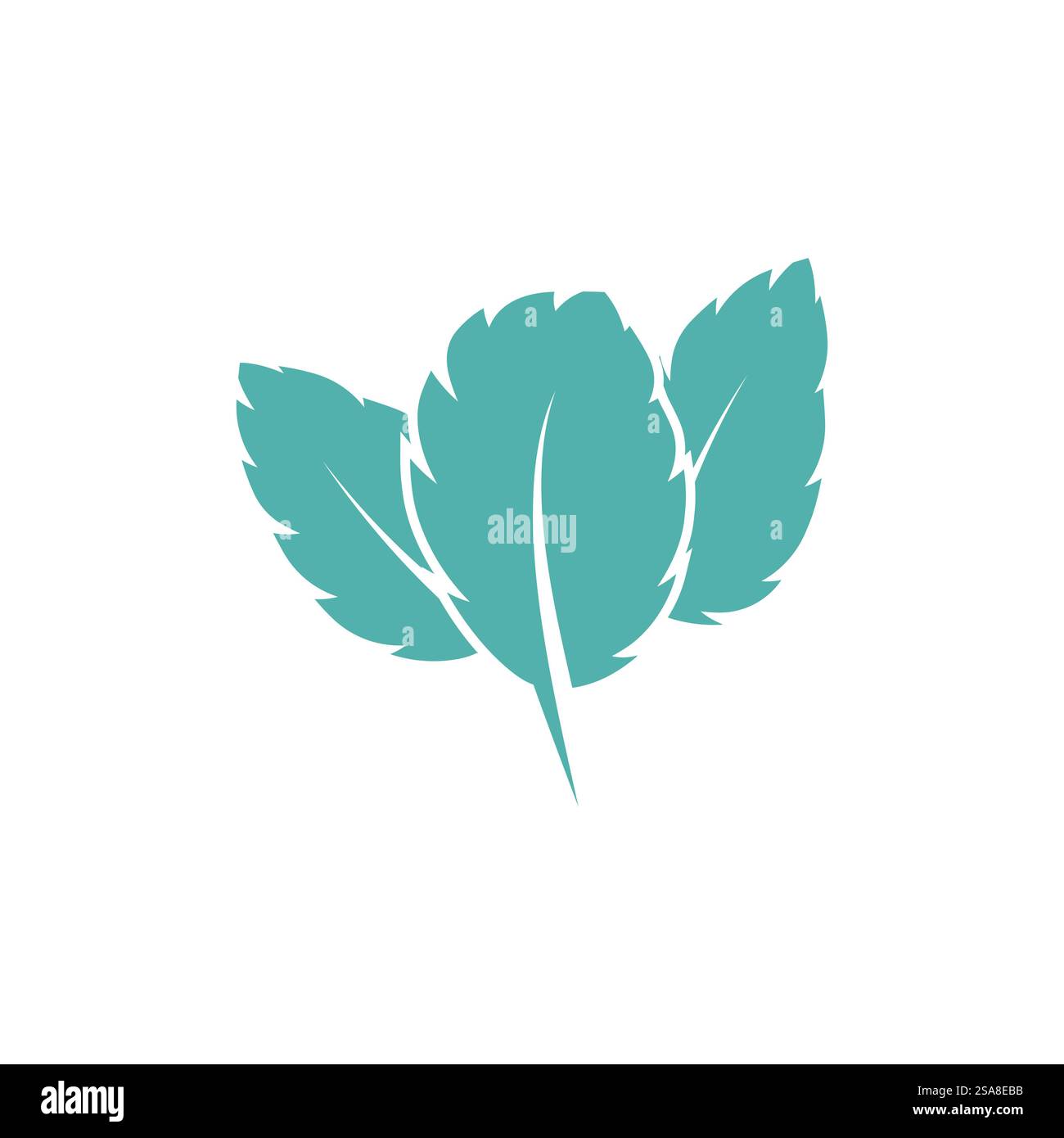 Mint leaf logo vector template symbol design Stock Vector Image & Art ...