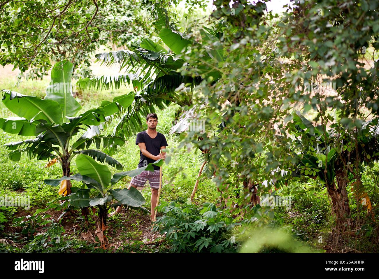 Sustainability, farming and portrait of man by trees with natural off ...