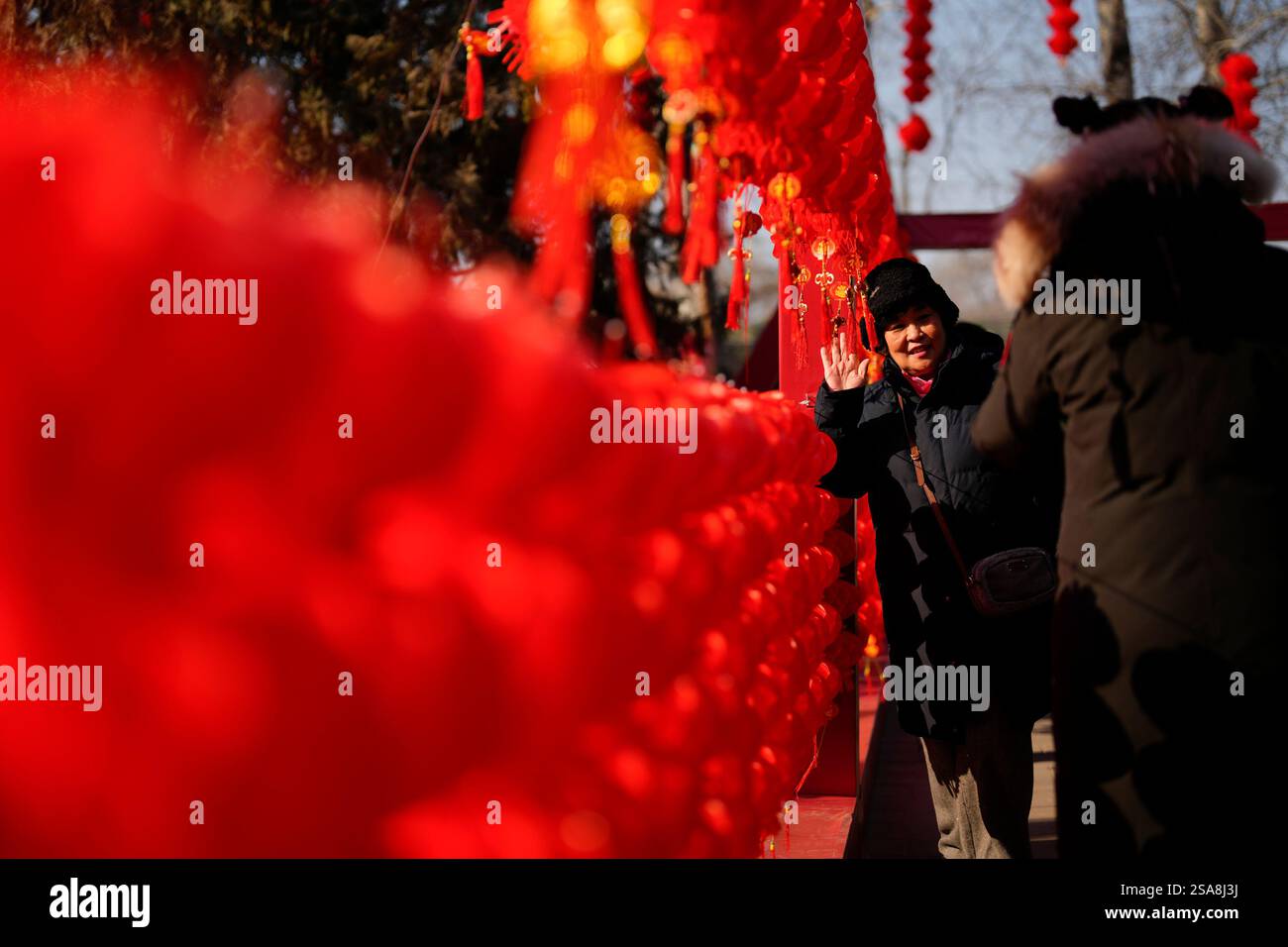 when did chinese new year start in 2025