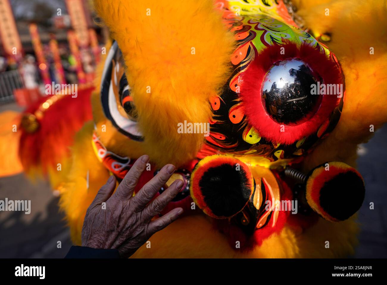 chinese new year lion dance performance