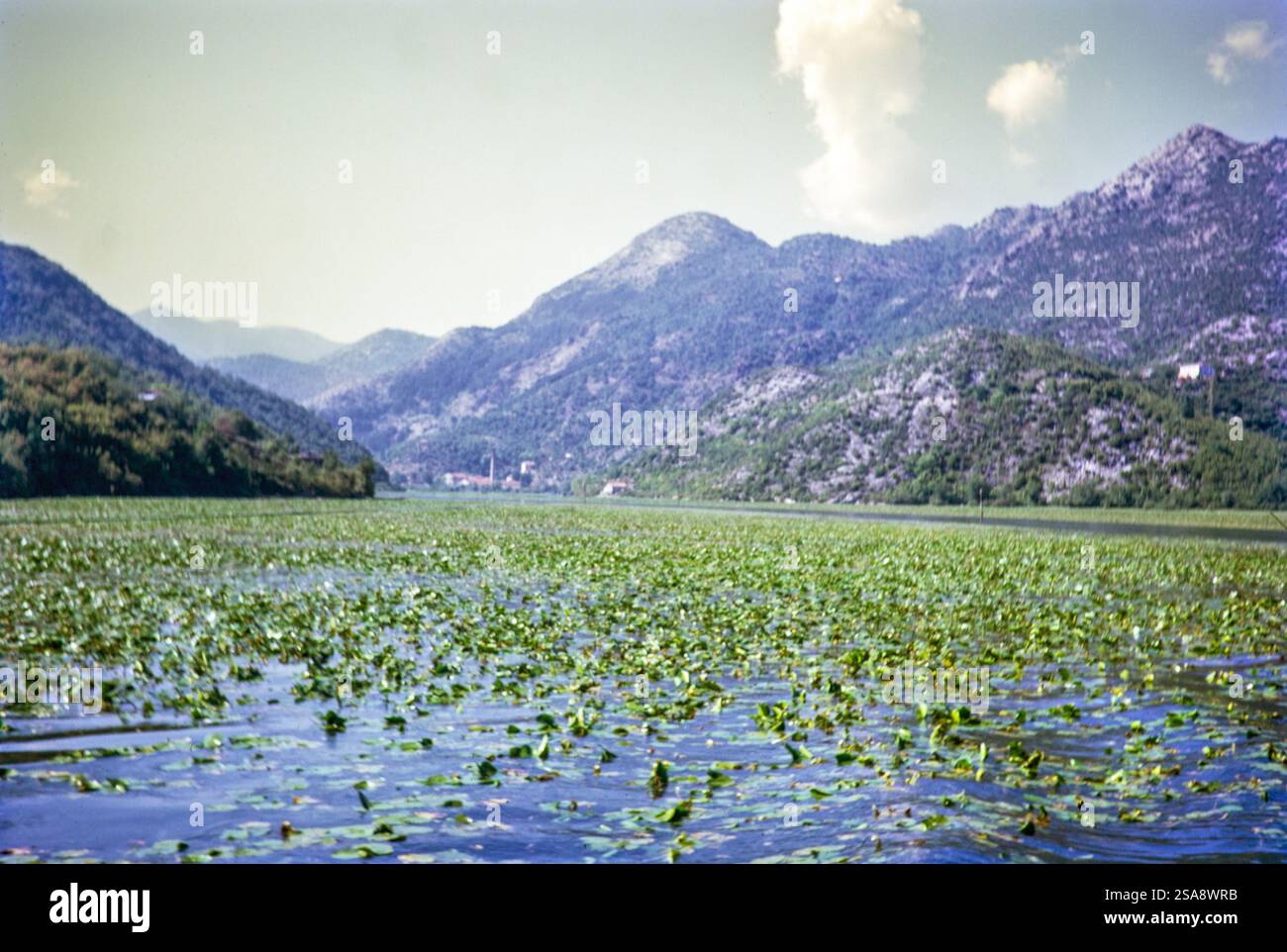 Busty styuardessalar porno