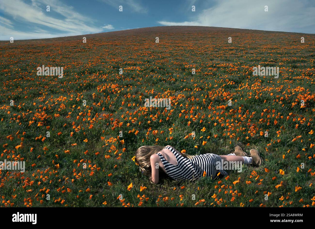 Girl walking in poppy flower field Stock Photo - Alamy