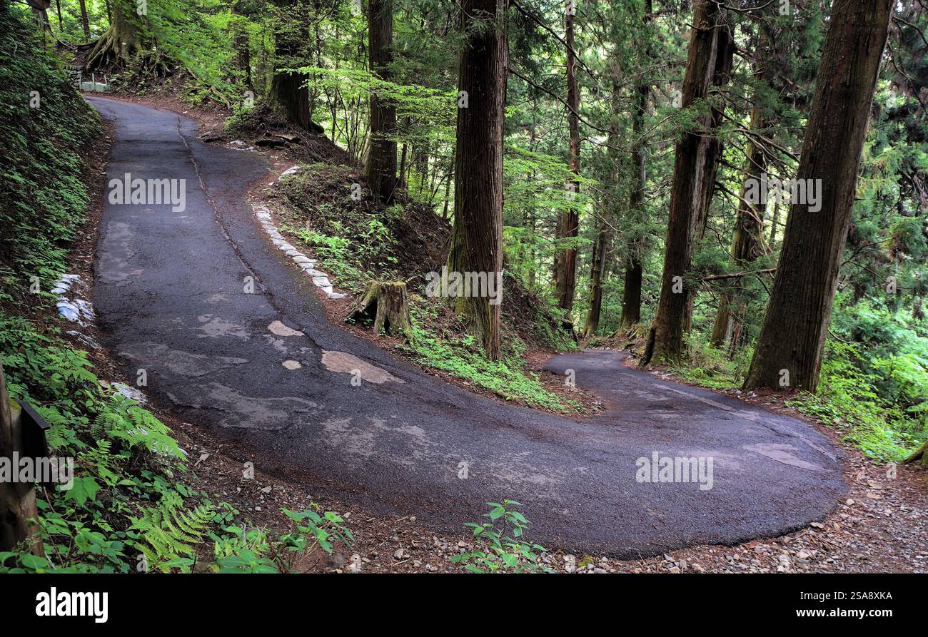 Narrow Turn First person view of a narrow road making a sharp turn on a heavily ...