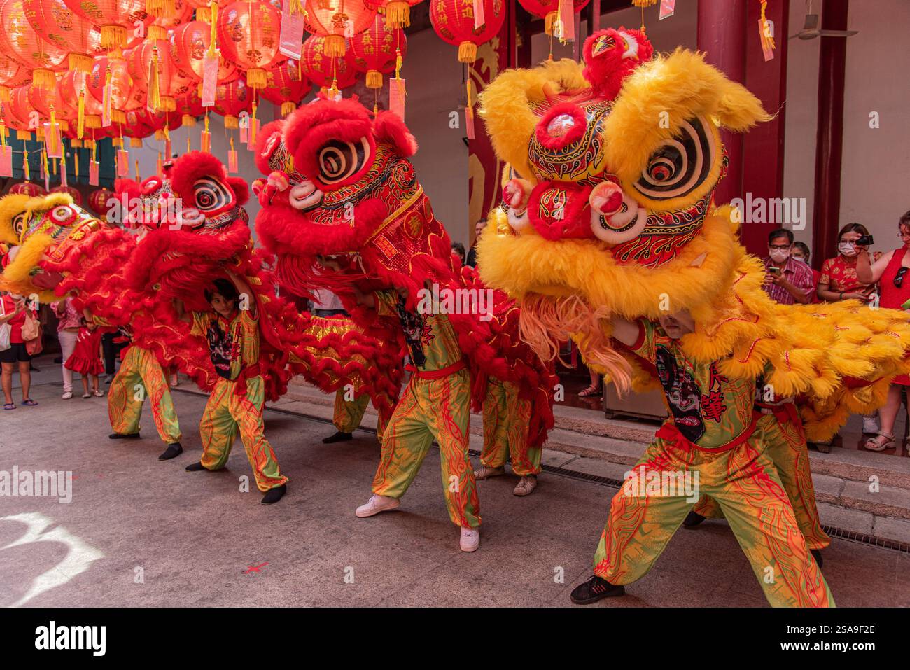 Dancers perform a Lion dance during the Chinese Lunar new year