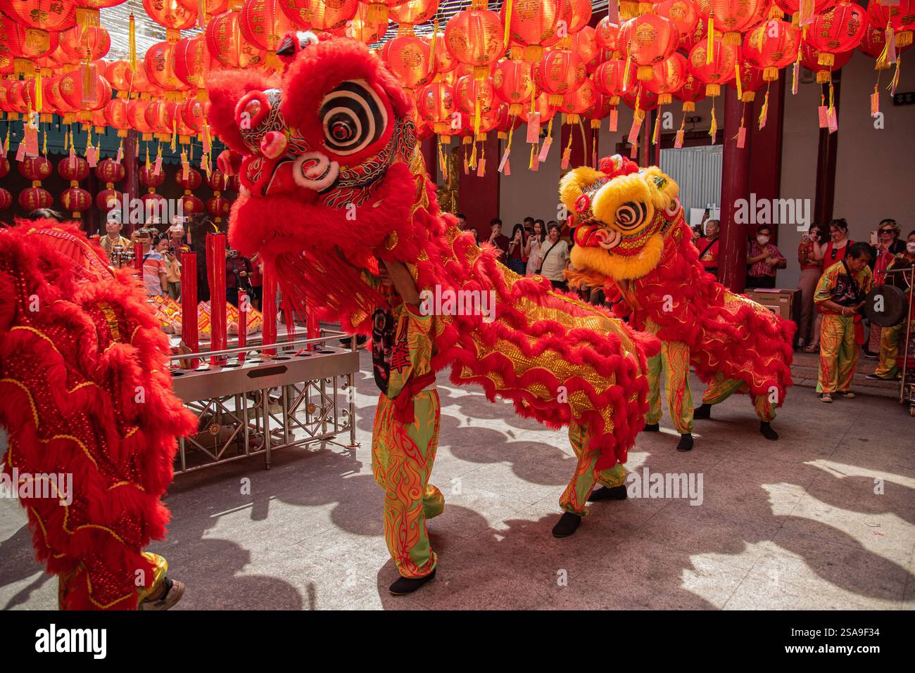 Dancers perform a Lion dance during the Chinese Lunar new year