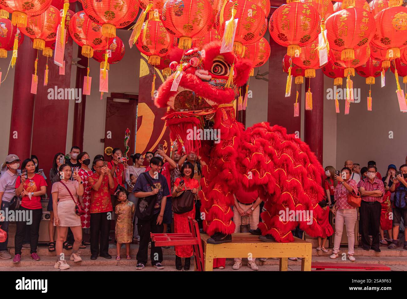 Dancers perform a Lion dance during the Chinese Lunar new year