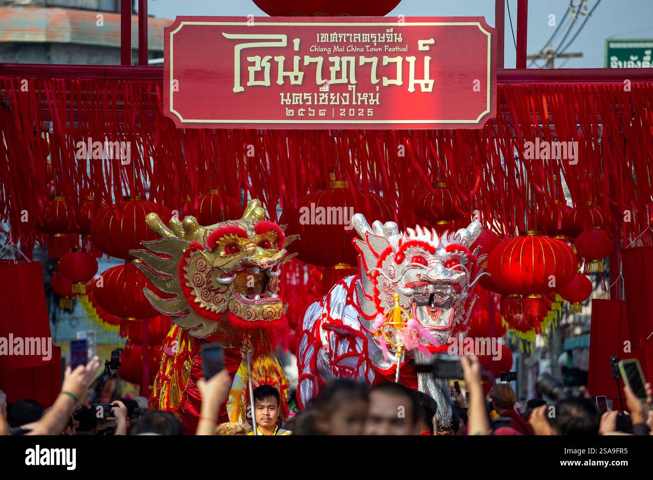 what to prepare for chinese new year 2025