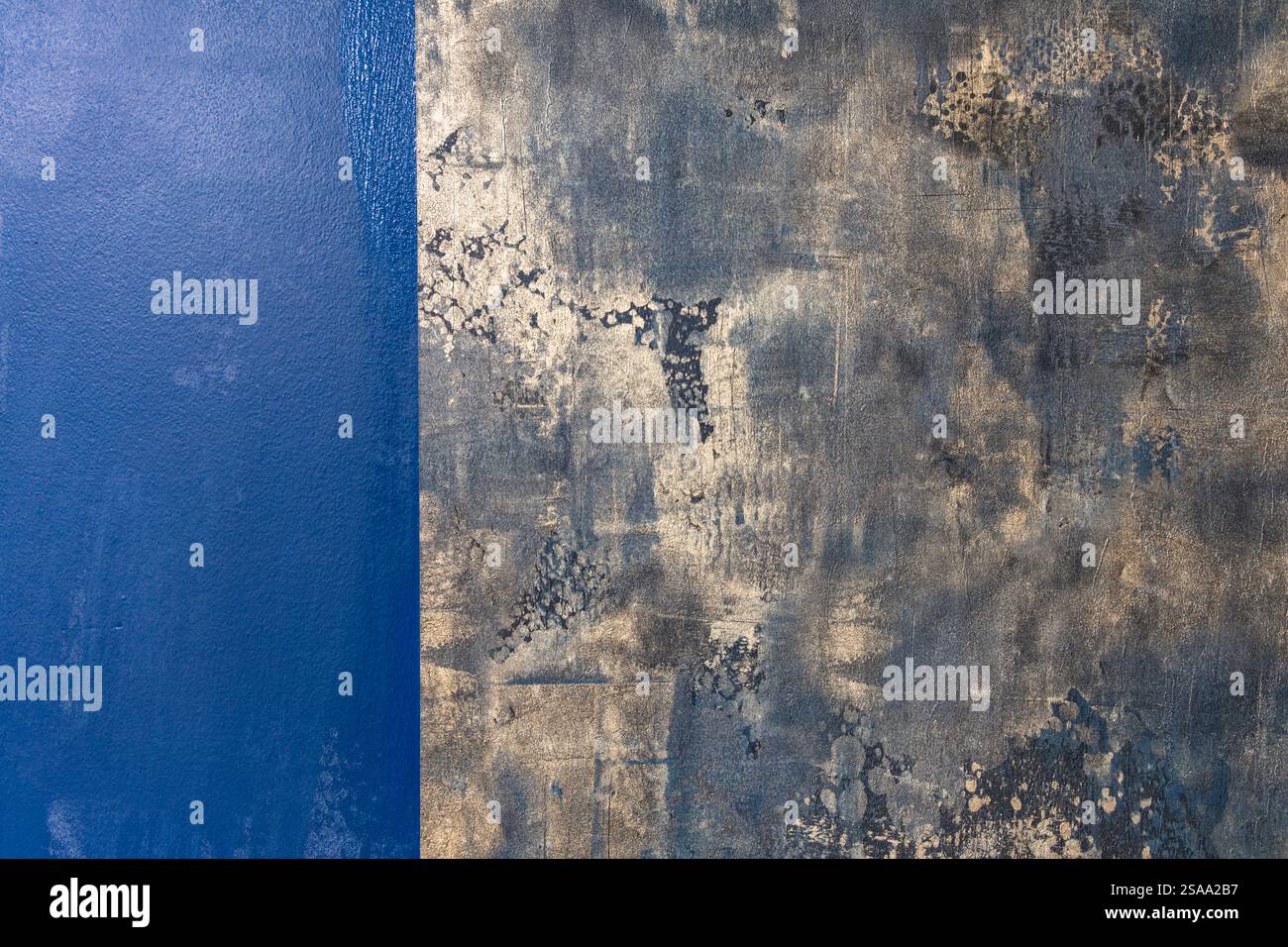 Image showcasing 15 Popular Wall Texture Types and Techniques in 2026