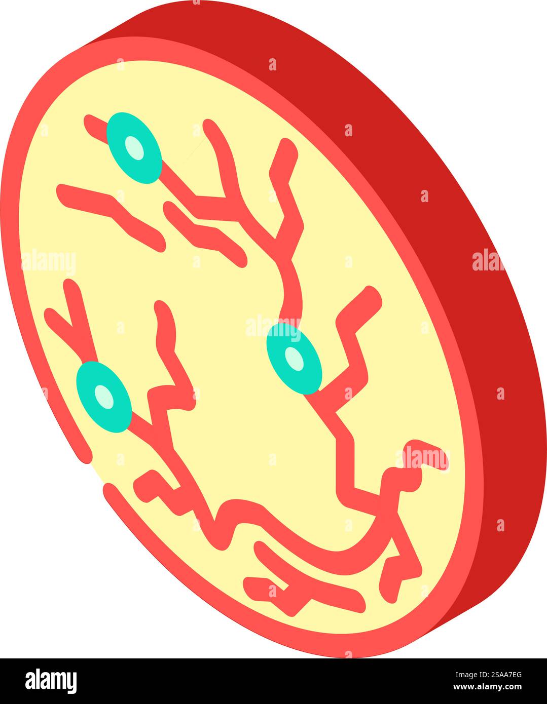 retina scan biometric isometric icon vector. retina scan biometric sign ...