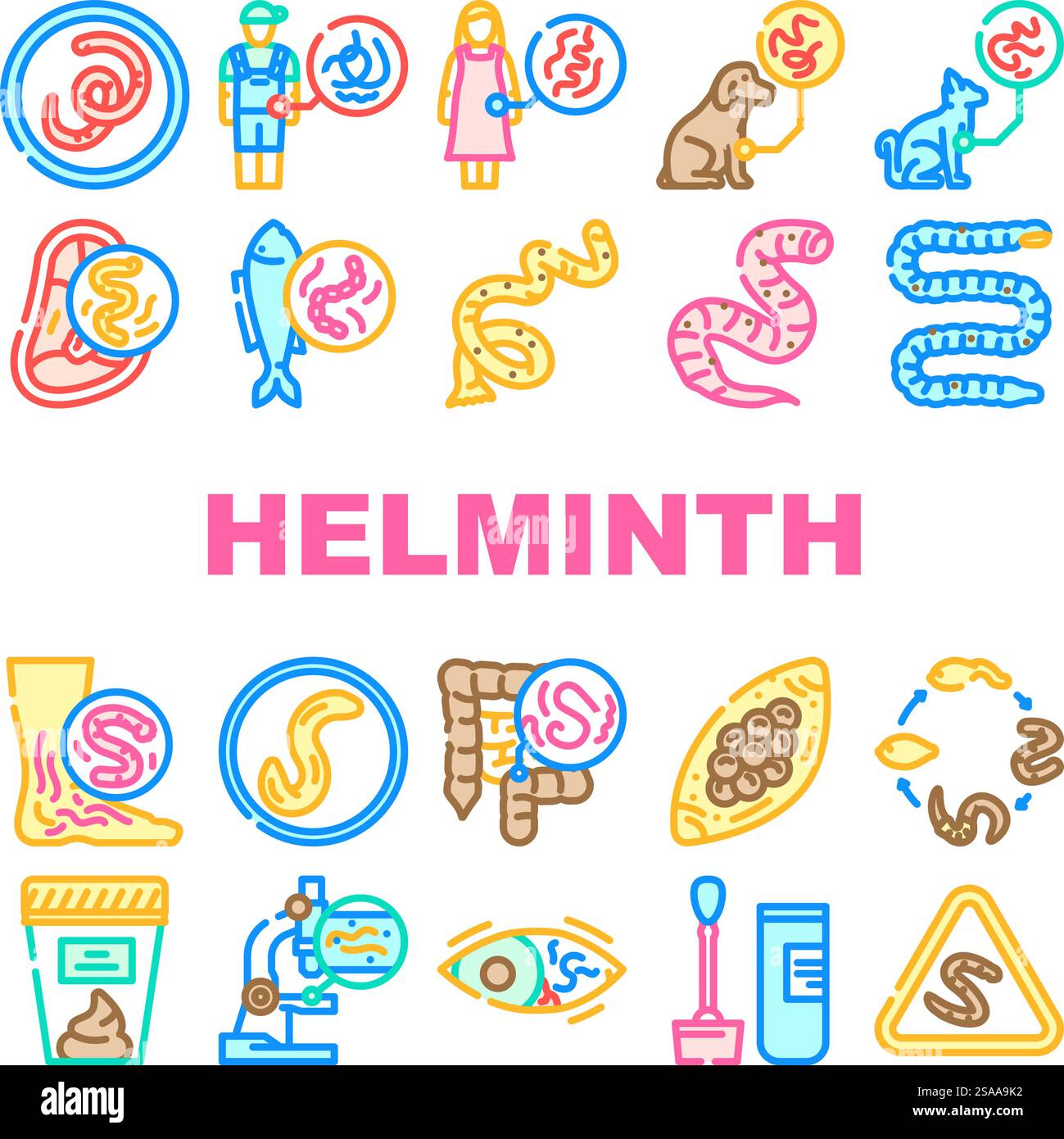 helminth worm parasite nematode icons set vector. tapeworm roundworm, flatworm hookworm, whipworm fluke, cestode, trematode helminth worm parasite nematode color line illustrations. helminth worm parasite nematode icons set vector Stock Vector
