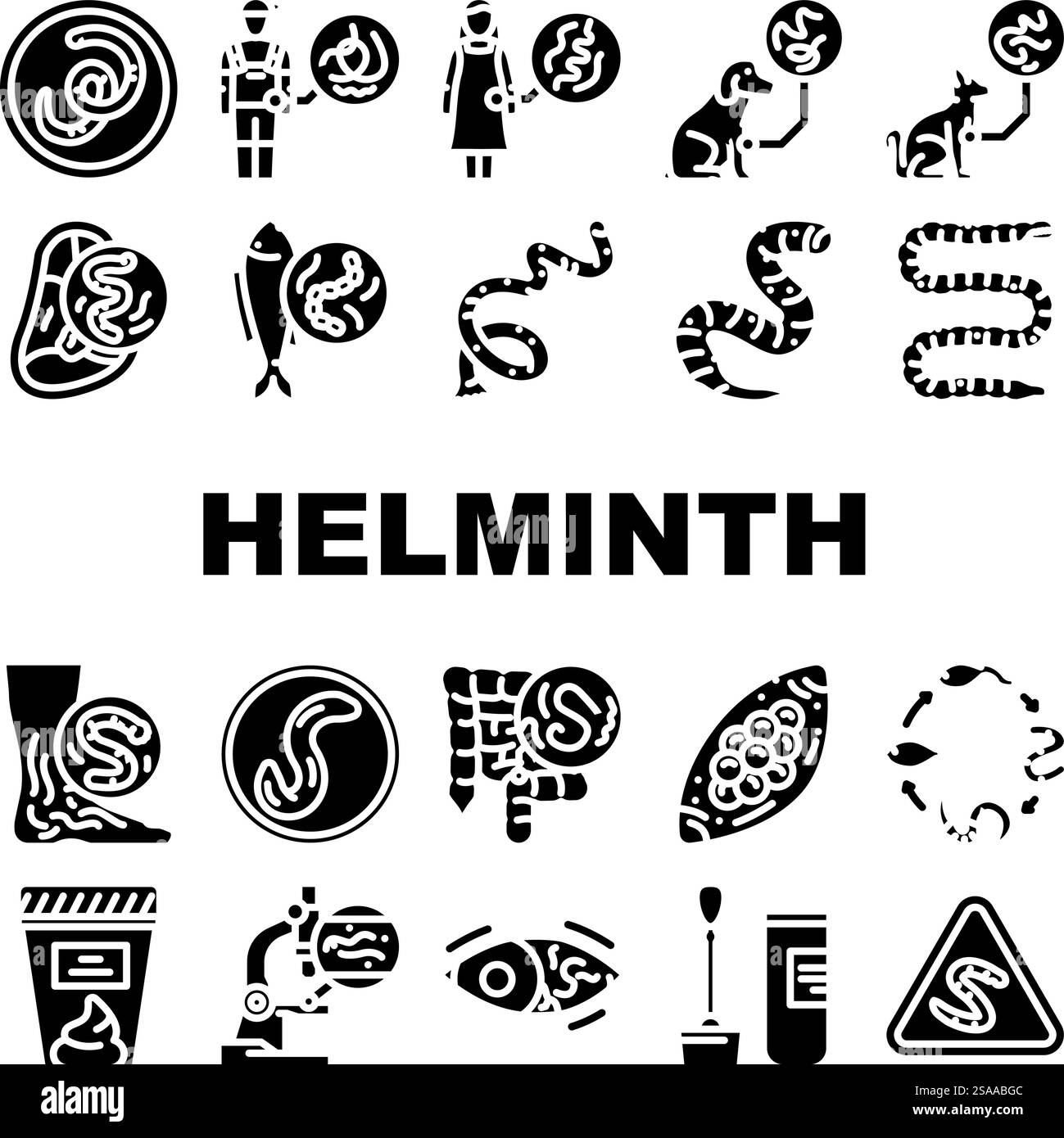 helminth worm parasite nematode icons set vector. tapeworm roundworm, flatworm hookworm, whipworm fluke, cestode, trematode helminth worm parasite nematode glyph pictogram Illustrations. helminth worm parasite nematode icons set vector Stock Vector