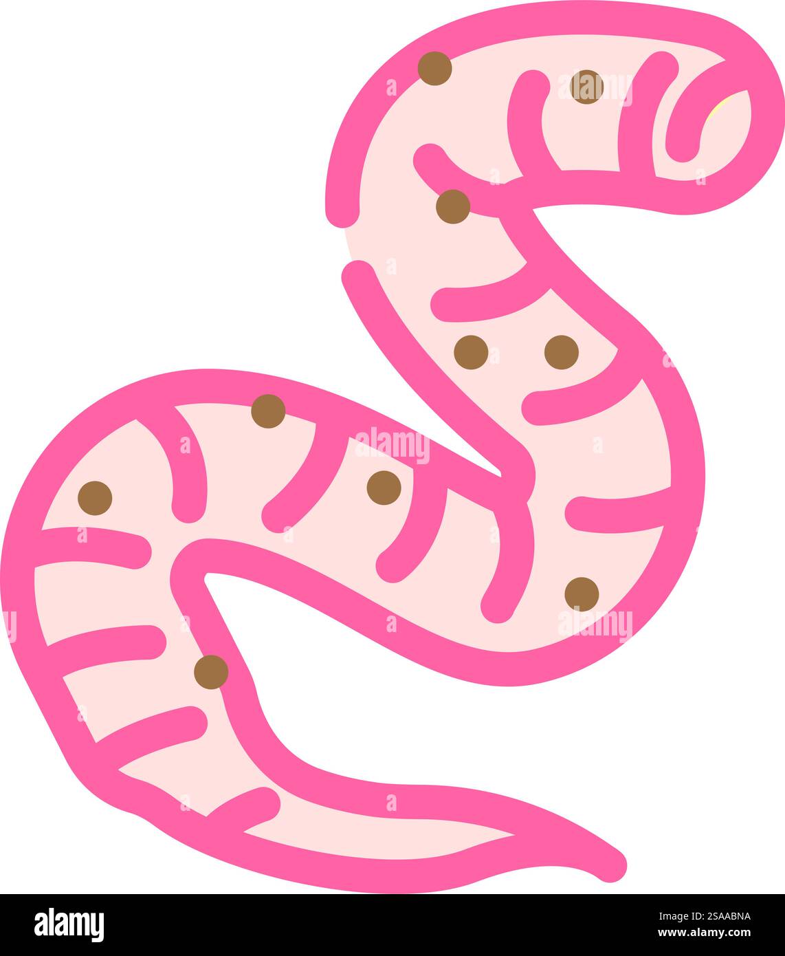 roundworm parasite color icon vector. roundworm parasite sign. isolated symbol illustration. roundworm parasite color icon vector illustration Stock Vector