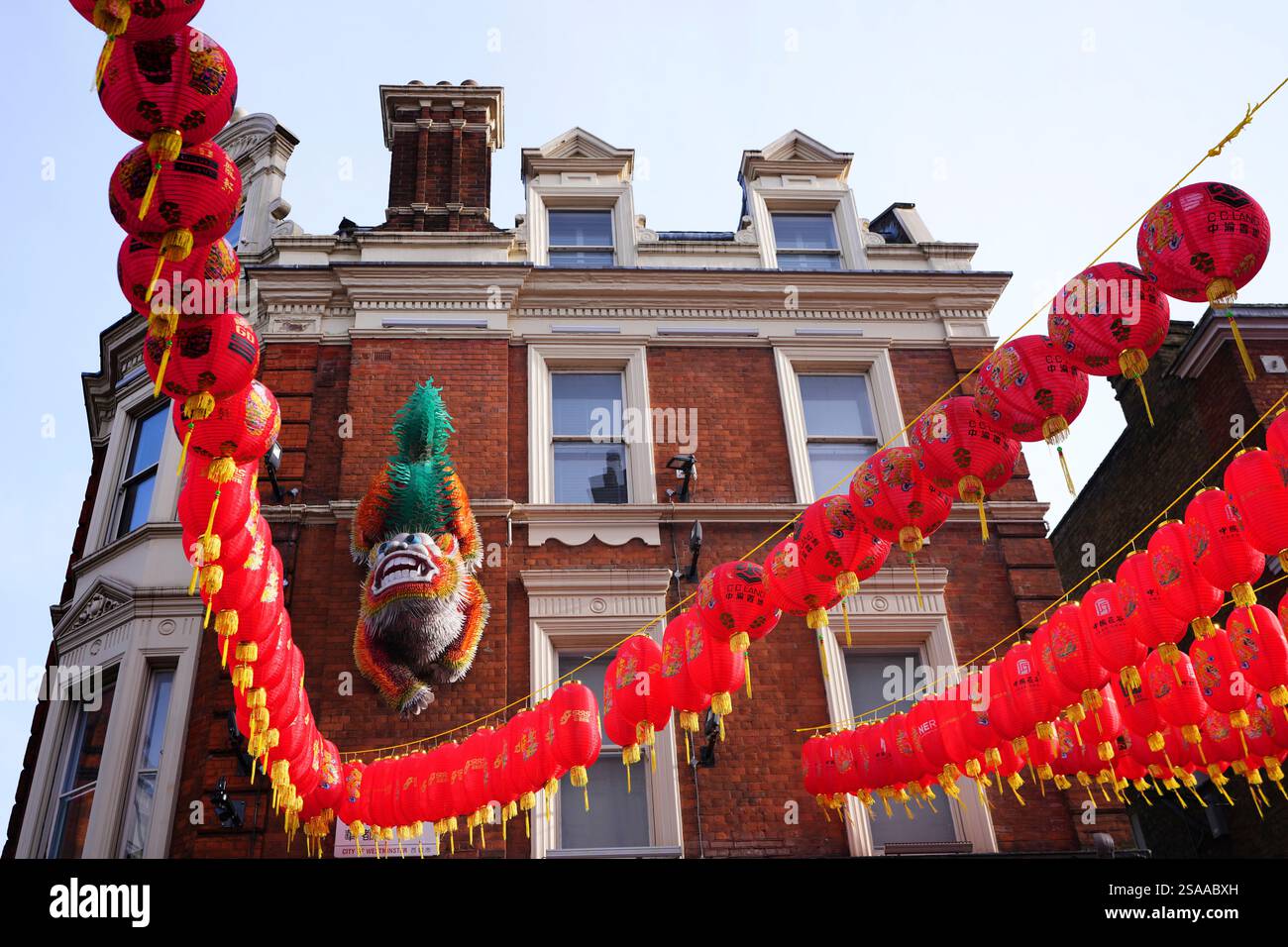 is chinese new year the spring festival