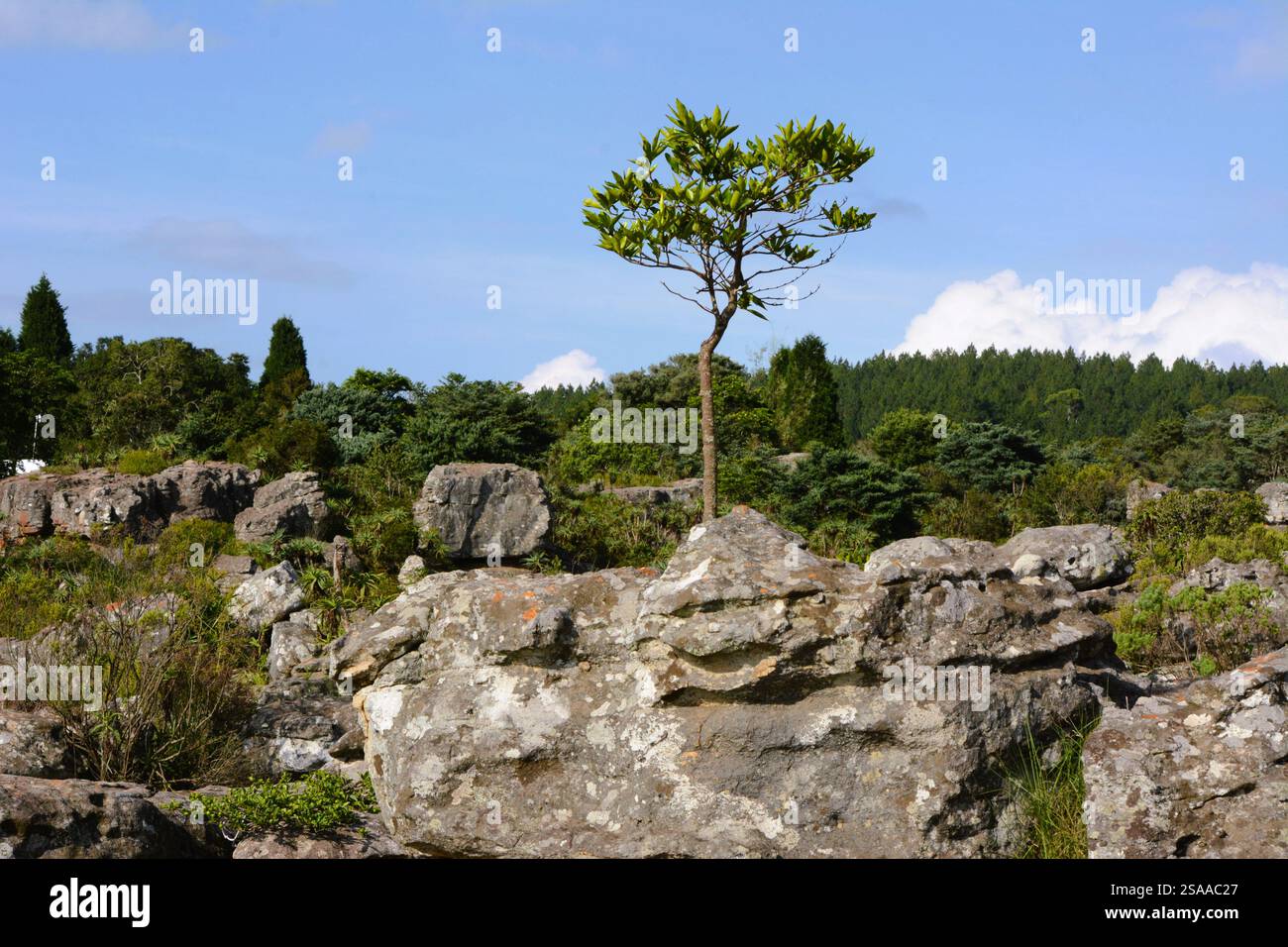 'Most fascinating rocks terrain the mounting that hosts the small ...