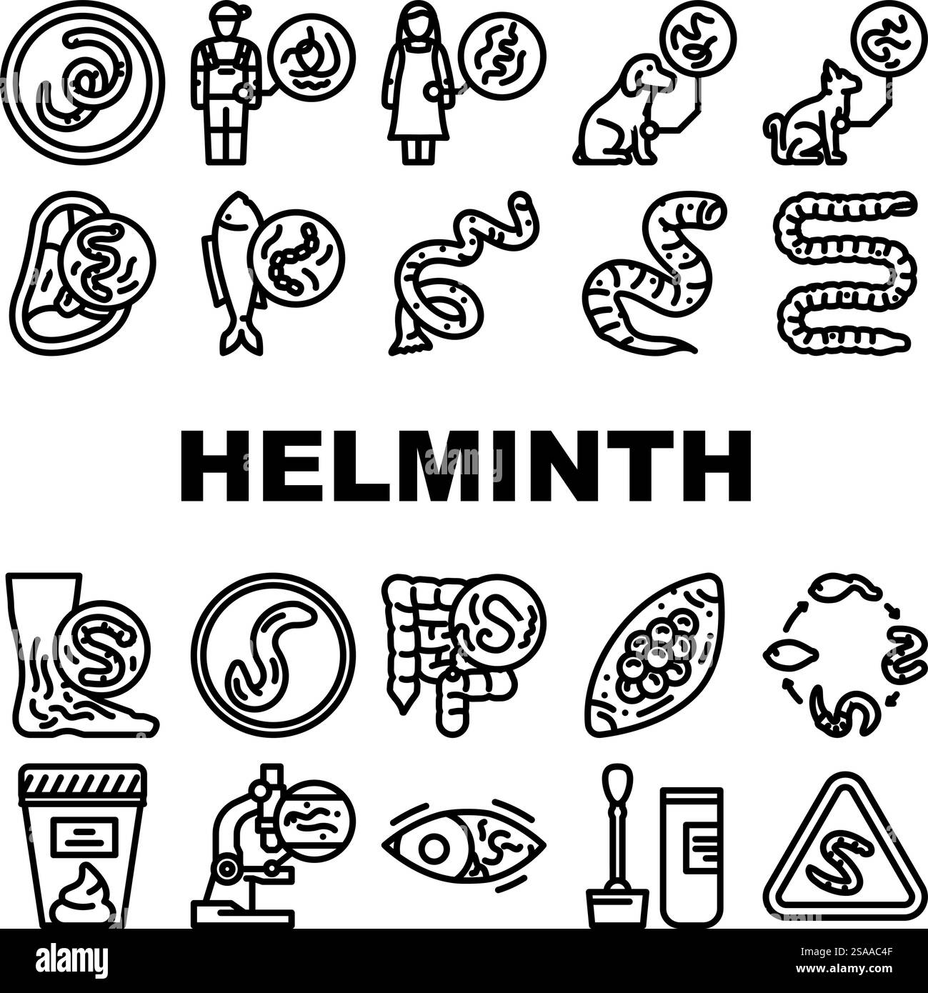 helminth worm parasite nematode icons set vector. tapeworm roundworm, flatworm hookworm, whipworm fluke, cestode, trematode helminth worm parasite nematode black contour illustrations. helminth worm parasite nematode icons set vector Stock Vector