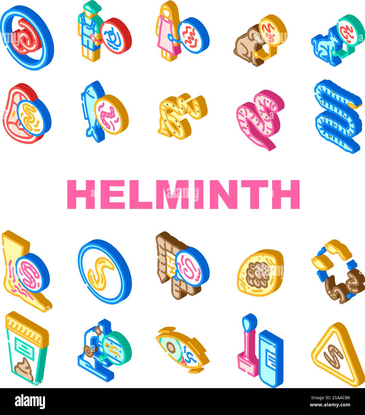 helminth worm parasite nematode icons set vector. tapeworm roundworm, flatworm hookworm, whipworm fluke, cestode, trematode helminth worm parasite nematode isometric sign illustrations. helminth worm parasite nematode icons set vector Stock Vector