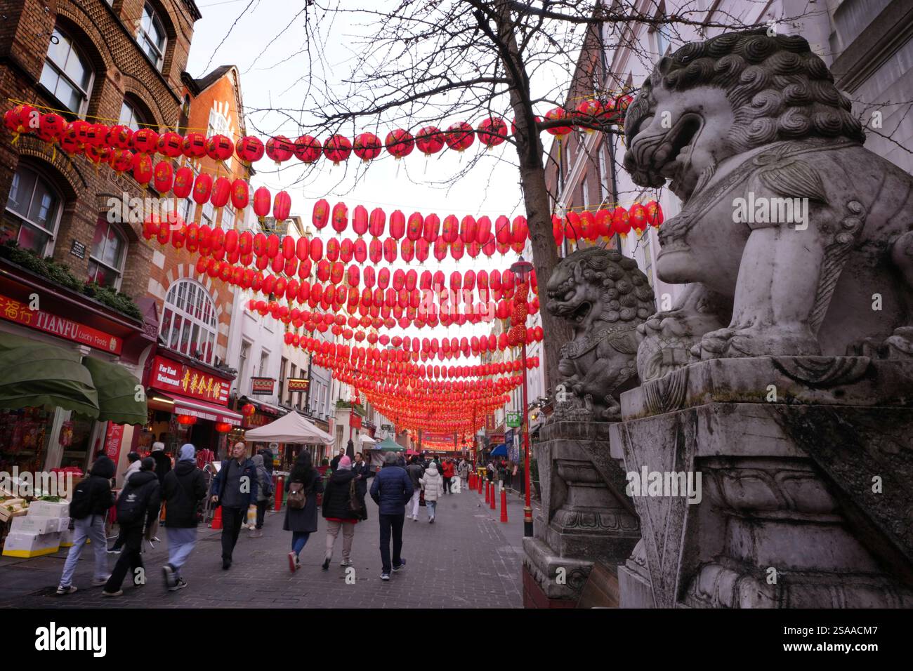 chinese new year in beijing