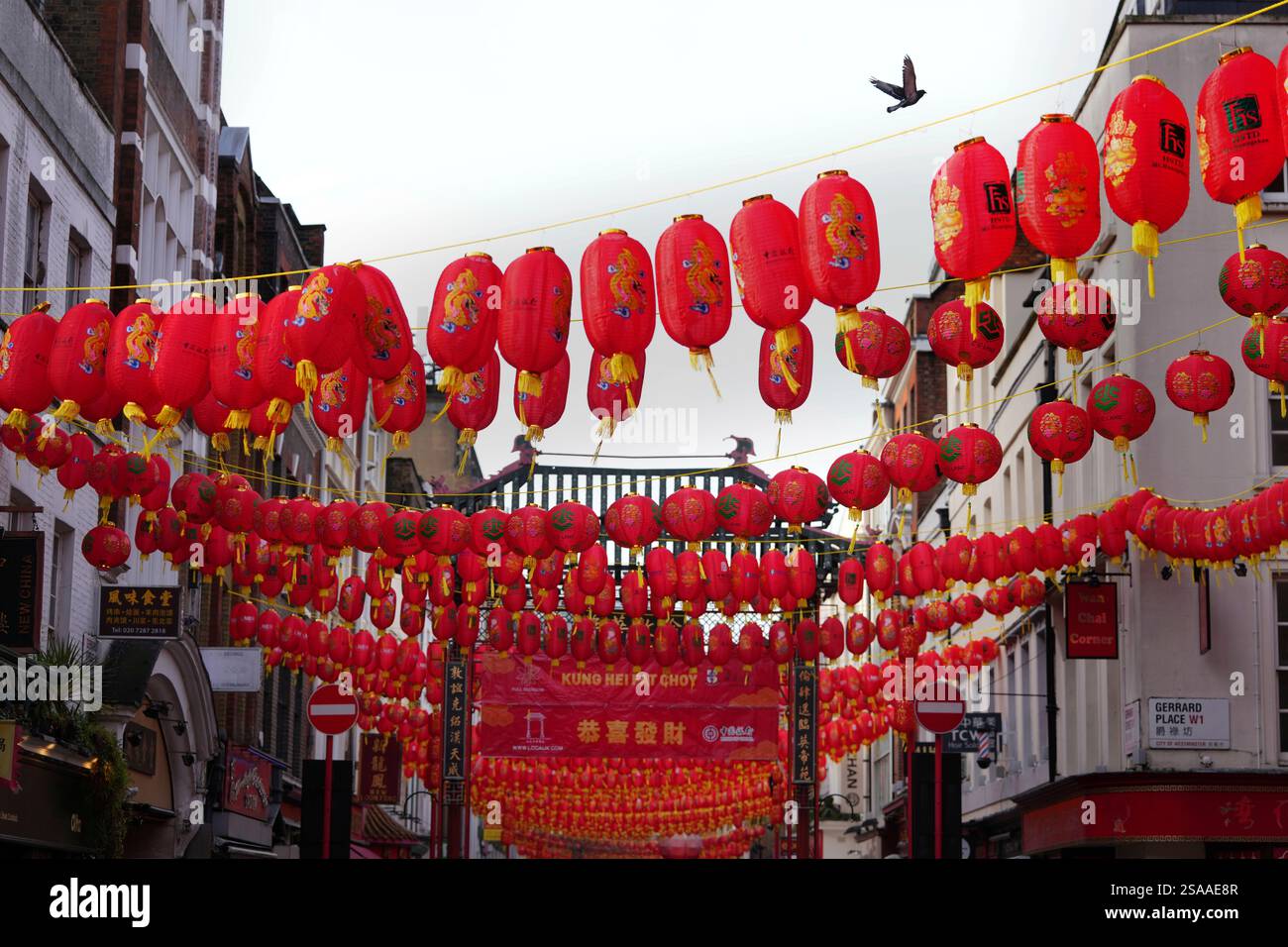 chinese new year 2025 free download