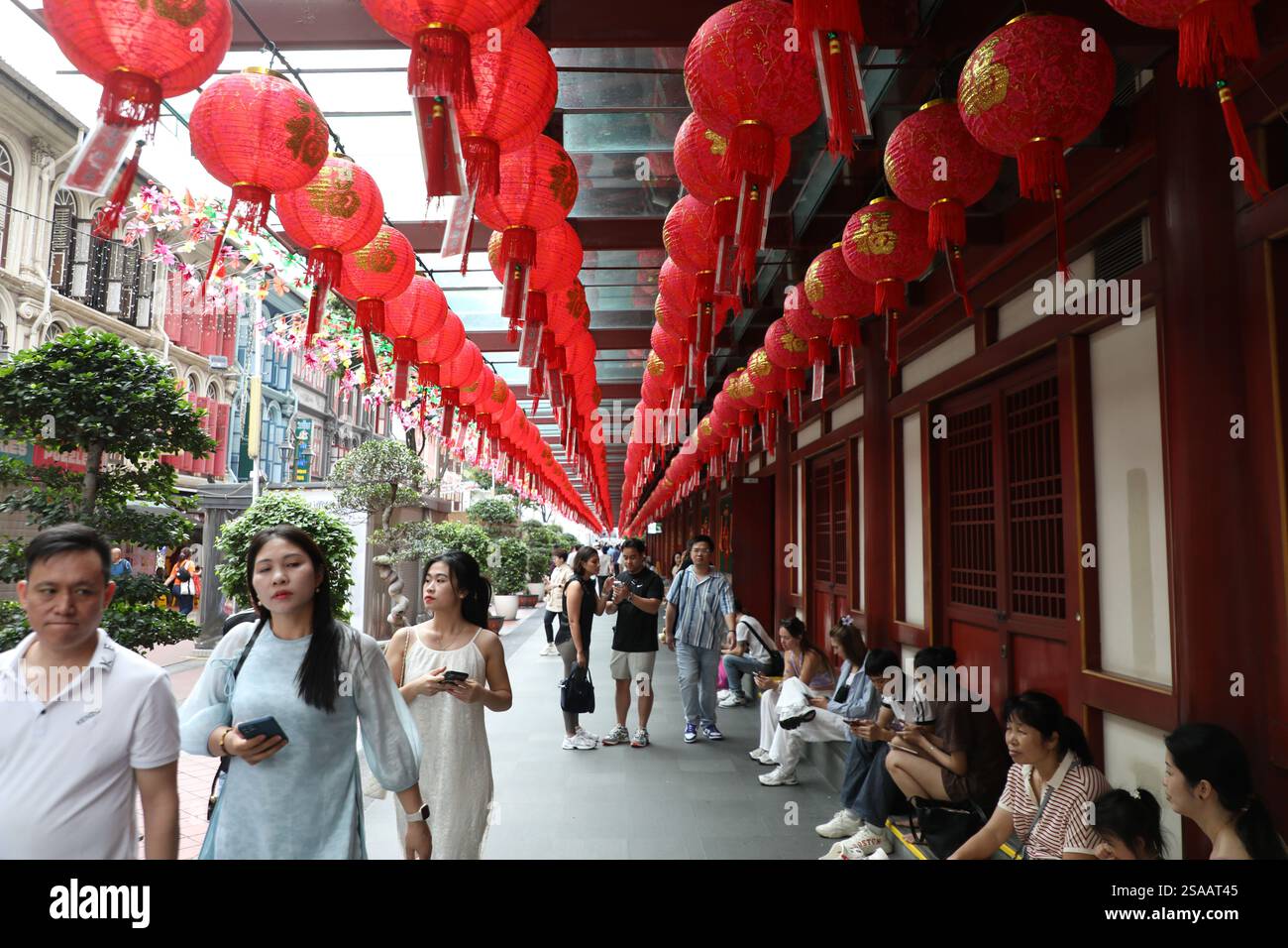 22 jan 2025 chinese new year