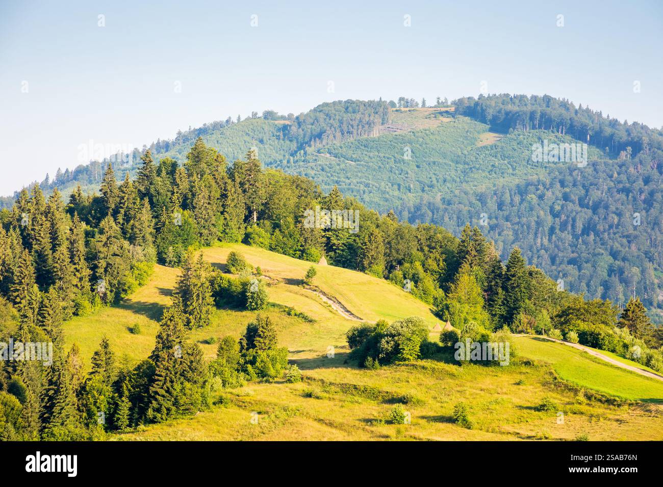 rural area of transcarpathia in summer. countryside scenery with rolling hills in morning light. carpathian mountain landscape of ukraine on a sunny d Stock Photo