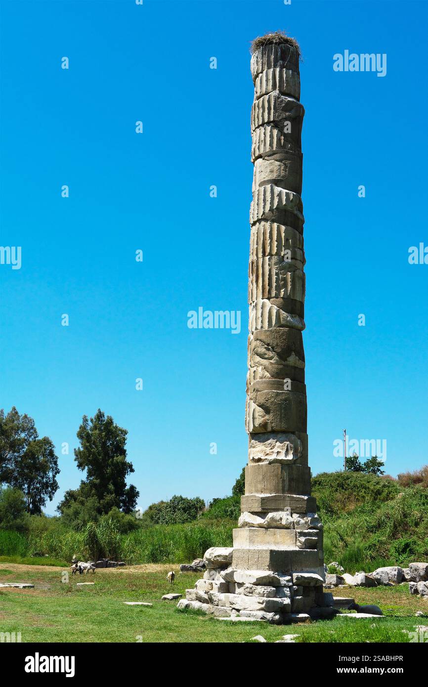 Ruins of Temple of Artemis or Artemision, also known as Temple of Diana
