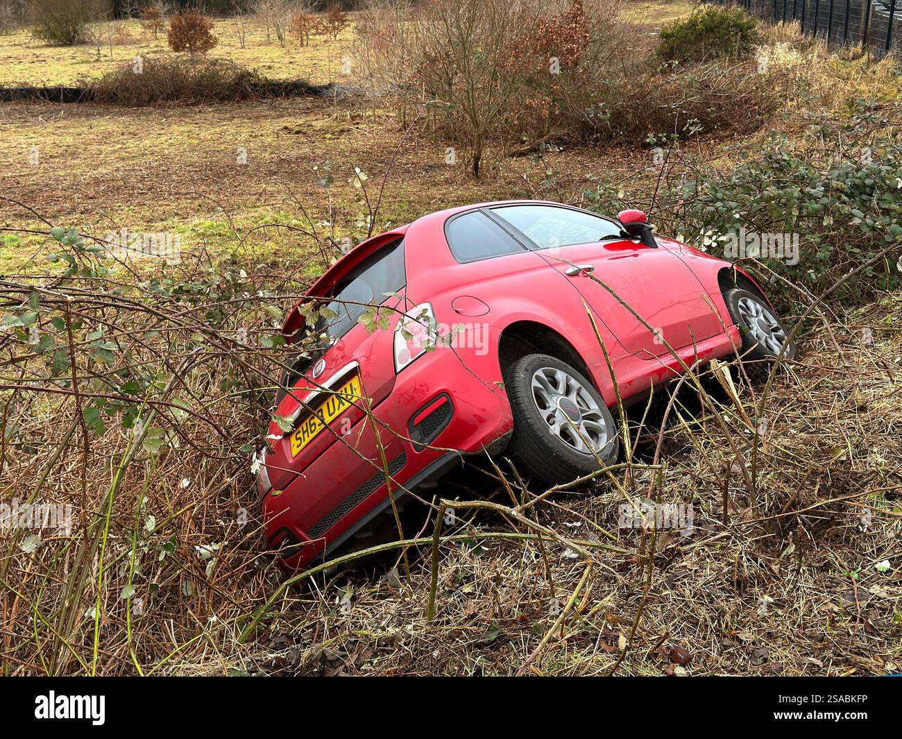Pontyclun, Wales, UK - 29 January 2025: Small red car on its side in bushes after crashing off a road. No people. - Smartphone Captured Stock Image