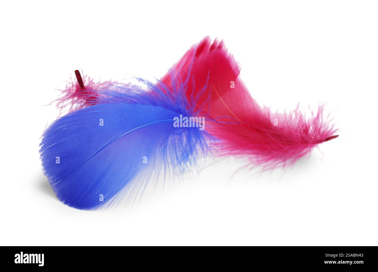 Pile of fluffy light feathers isolated on white Stock Photo - Alamy