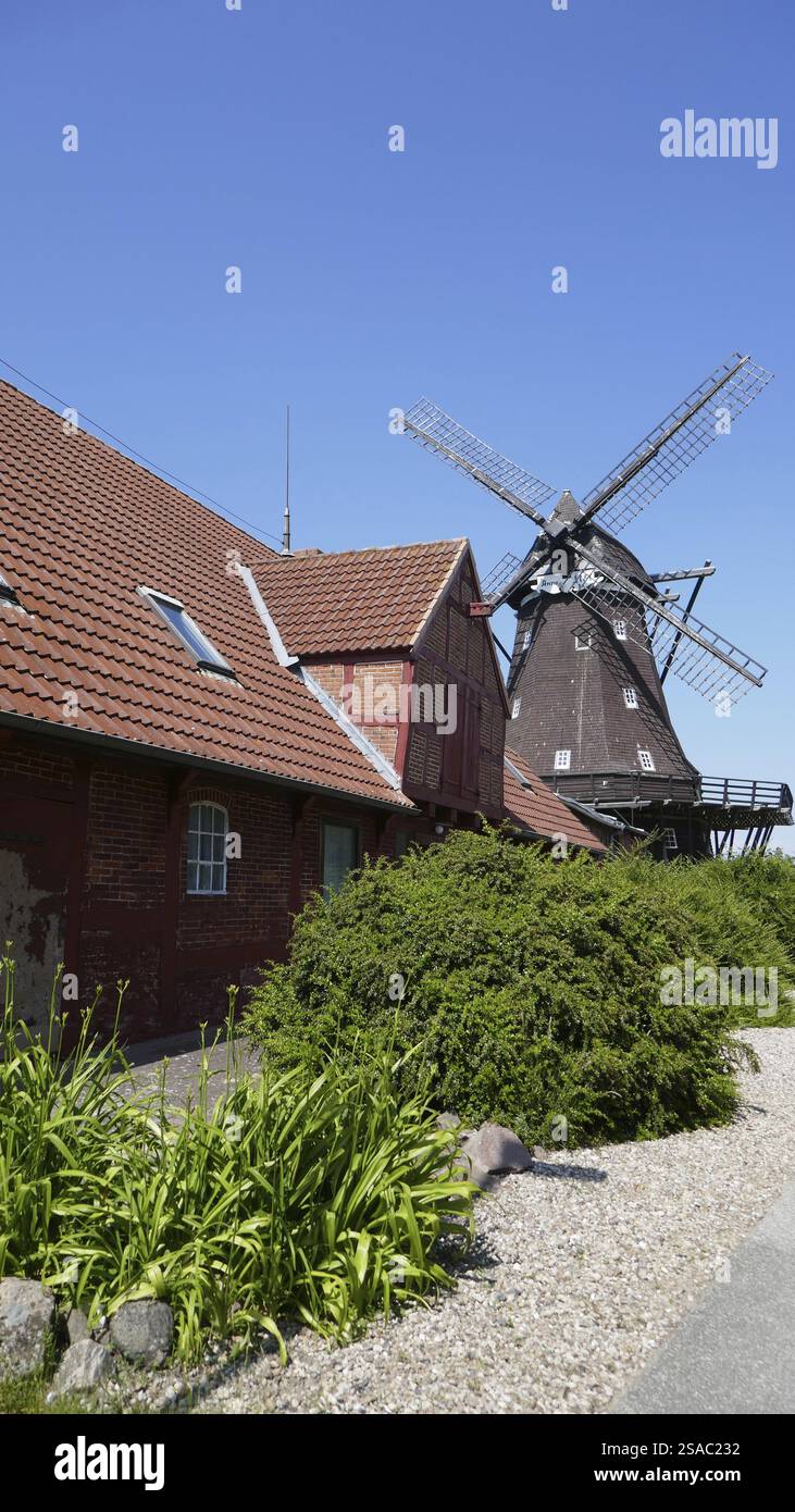 Fehmarn Frau Mller