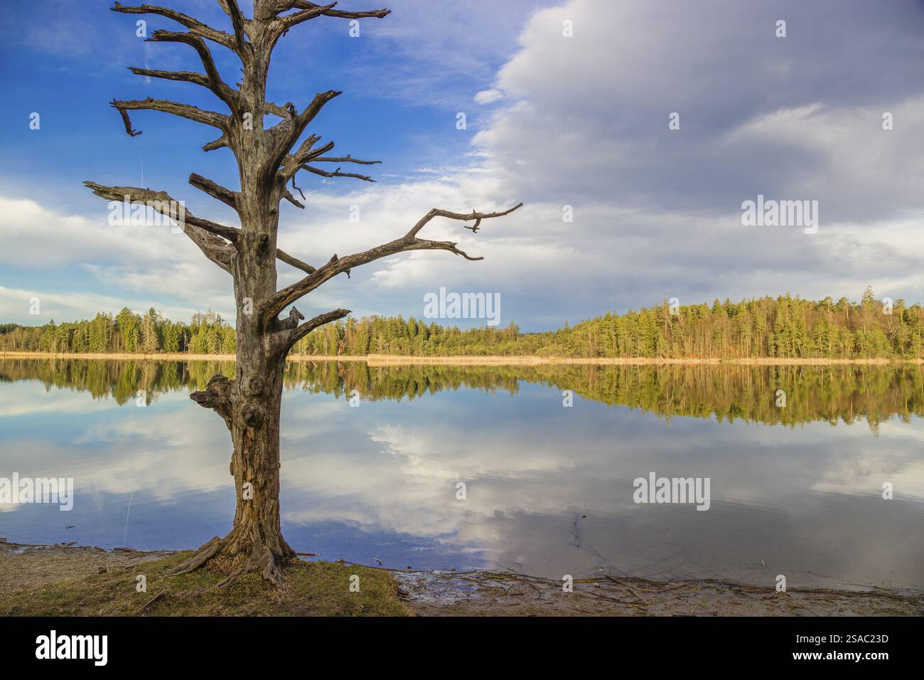 Lake Fohnsee of the Ostersee-group in early morning light Stock Photo ...