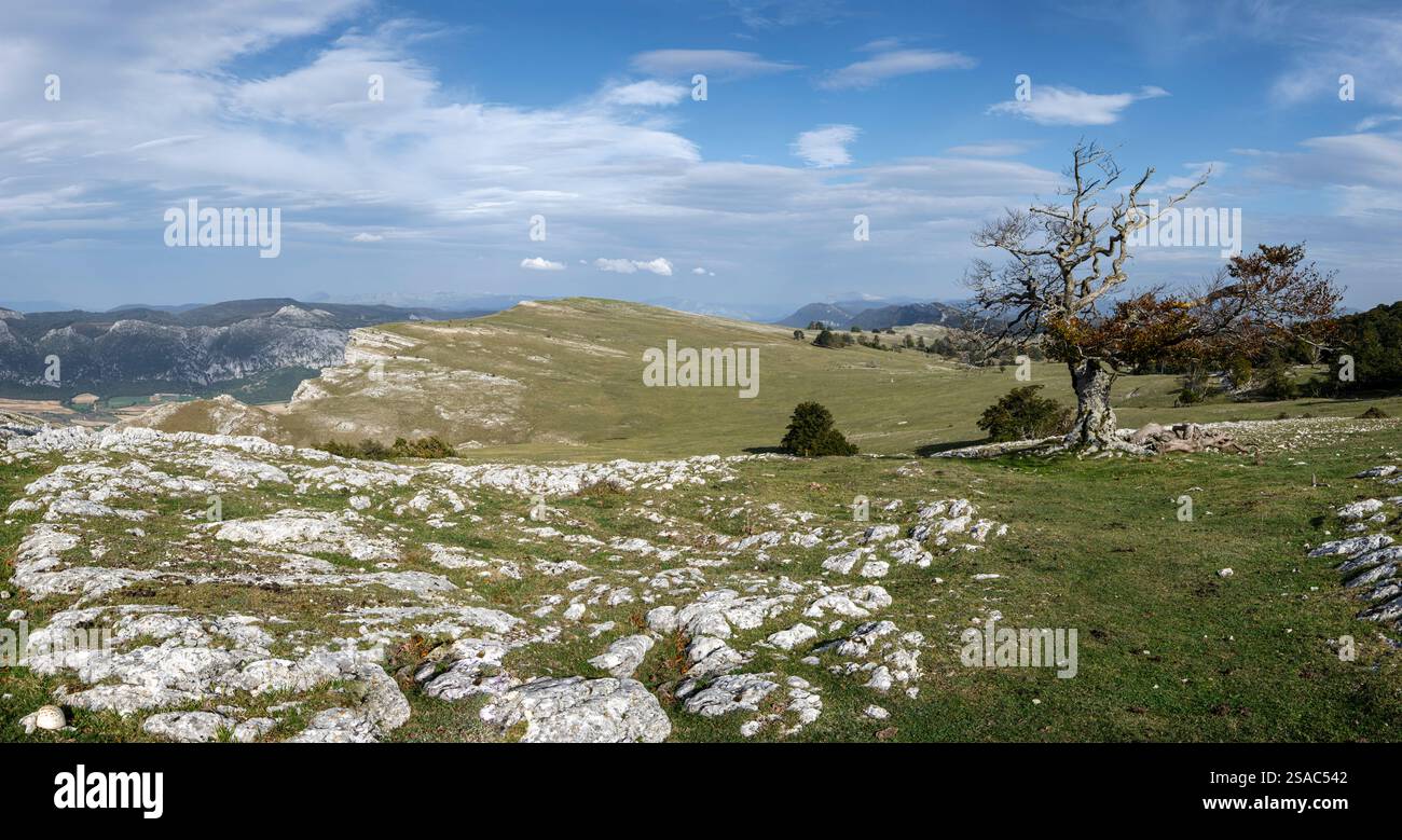 Megalithic Park of Legaire, Campas de Legaire , Álava, Basque Country ...