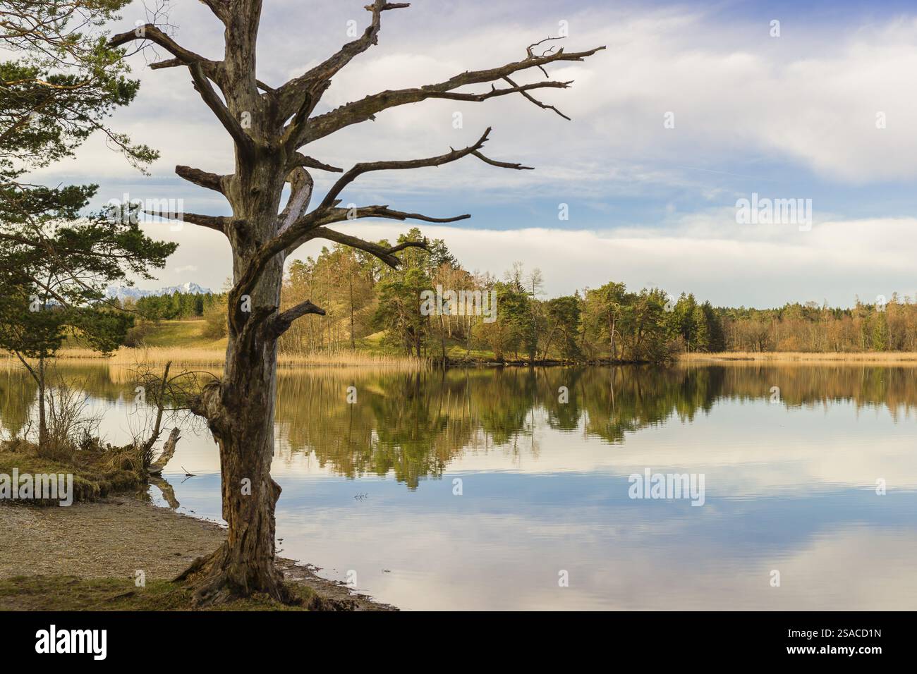 Lake Fohnsee of the Ostersee-group in early morning light Stock Photo ...