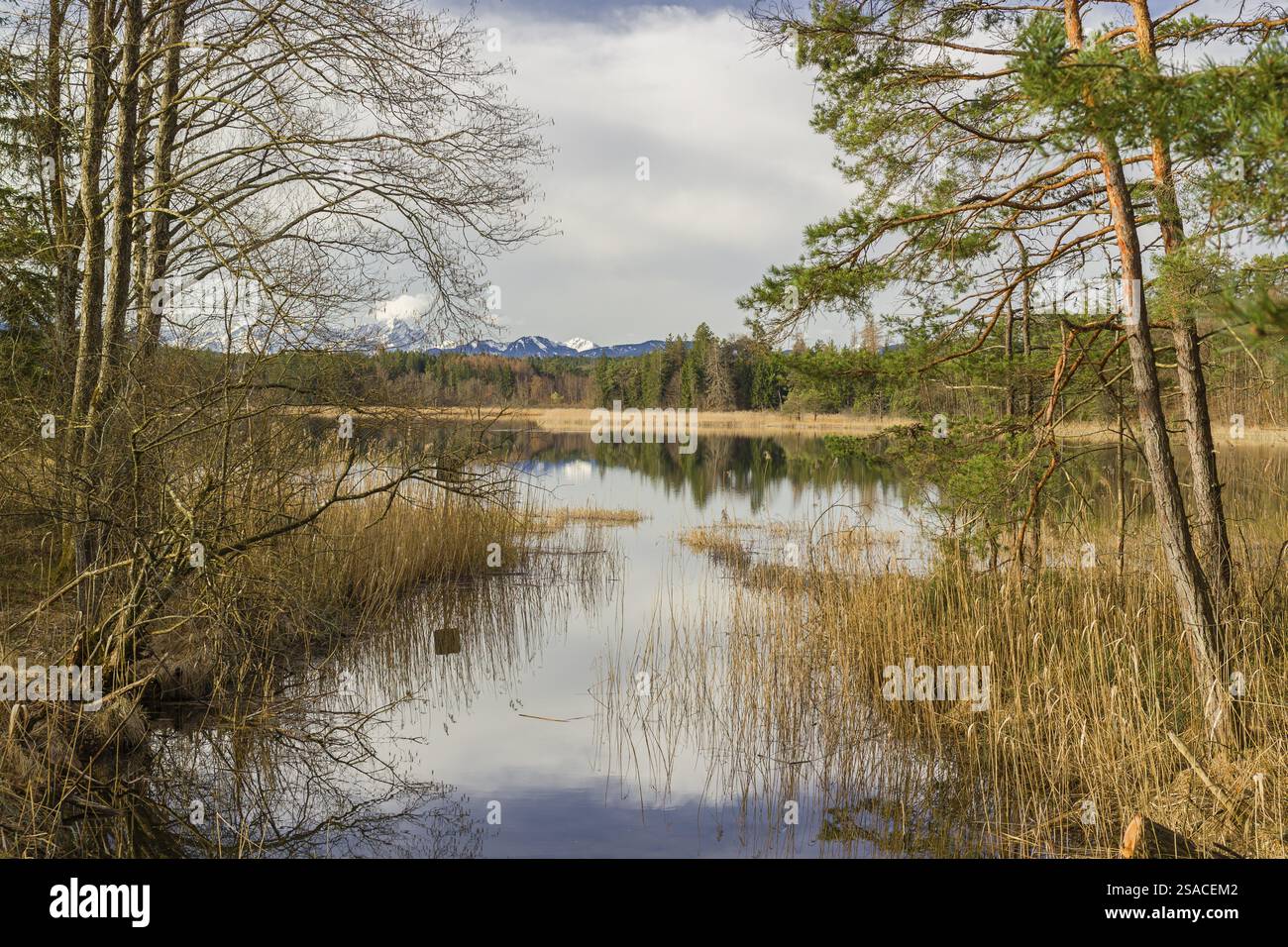 Lake Fohnsee of the Ostersee-group in early morning light Stock Photo ...