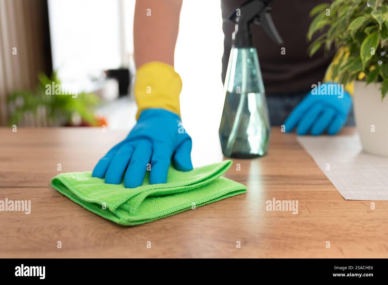 Person hand cleaning table cloth hi-res stock photography and images ...