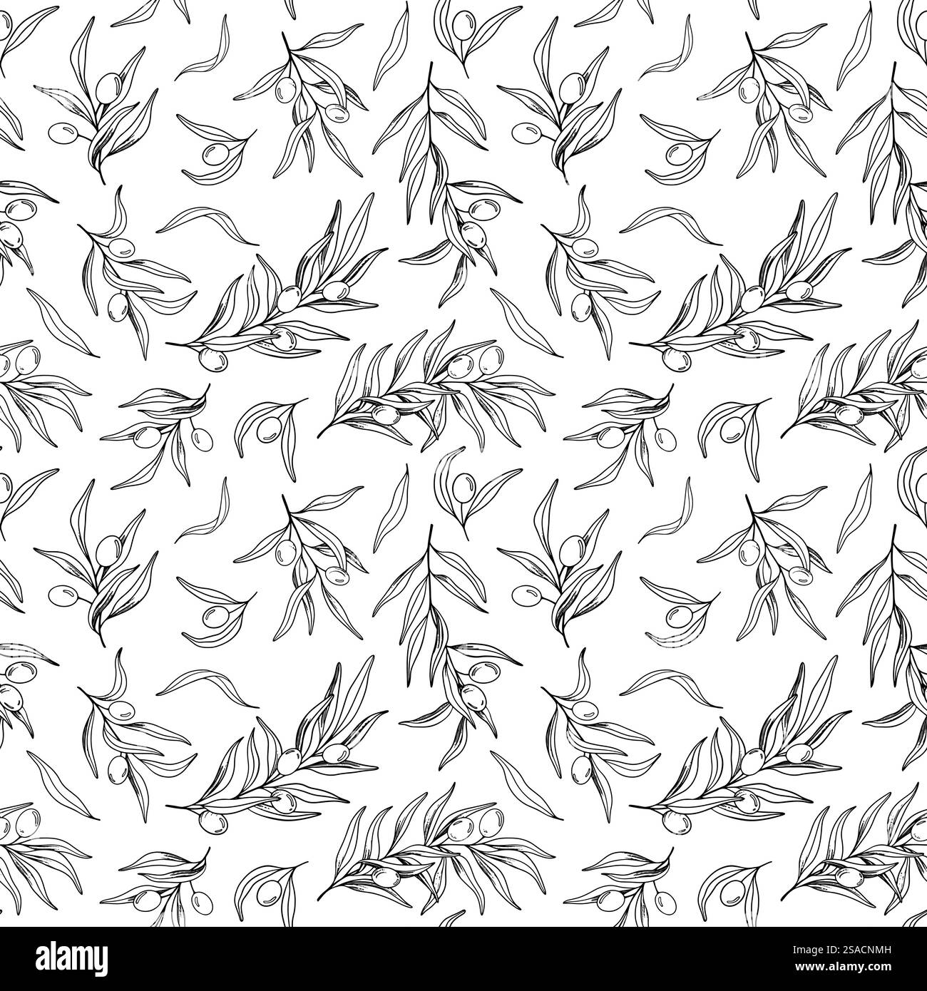 Seamless pattern of olive branch with berries and leaves. Hand drawn ...