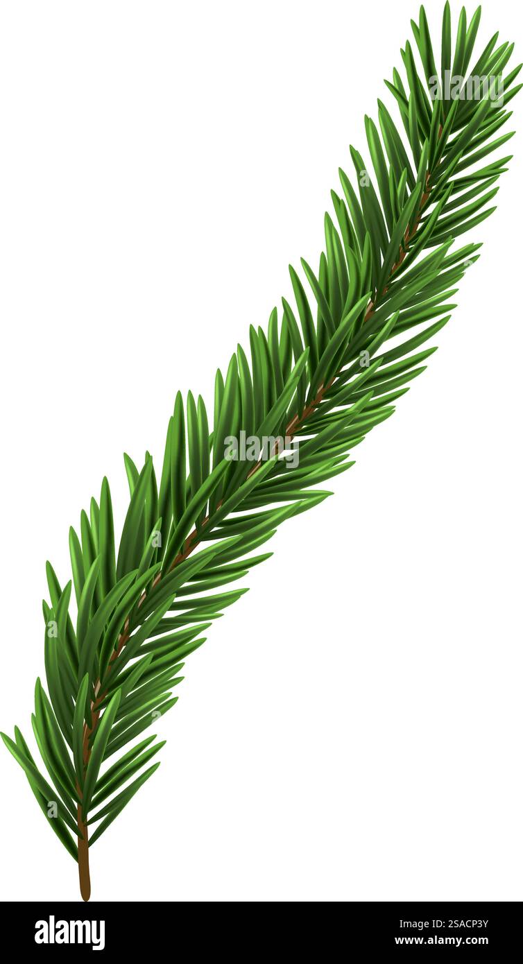 Green Christmas fir tree branch element. Vector illustration Stock ...