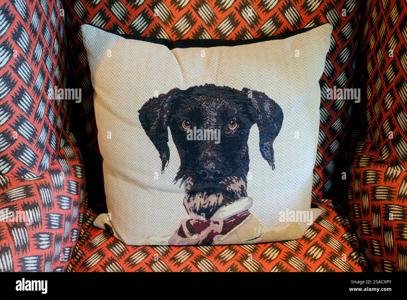 Armchair with a cushion decorated with a dog's head. Living room. Lisbon. Portugal. Stock Photo