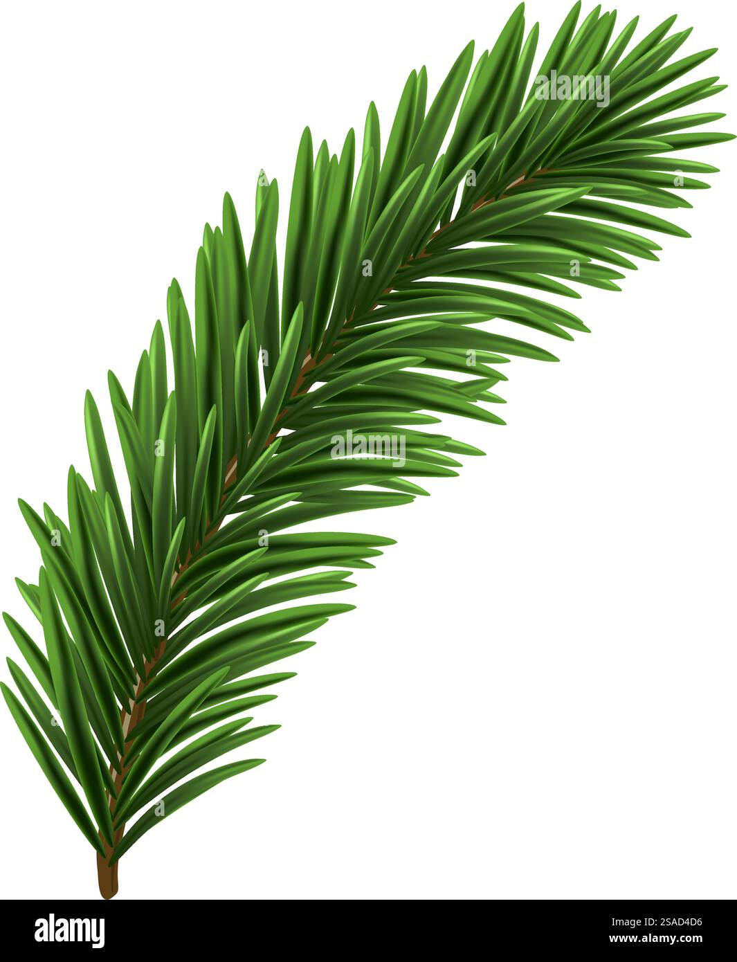 Green Christmas fir tree branch element. Vector illustration Stock ...