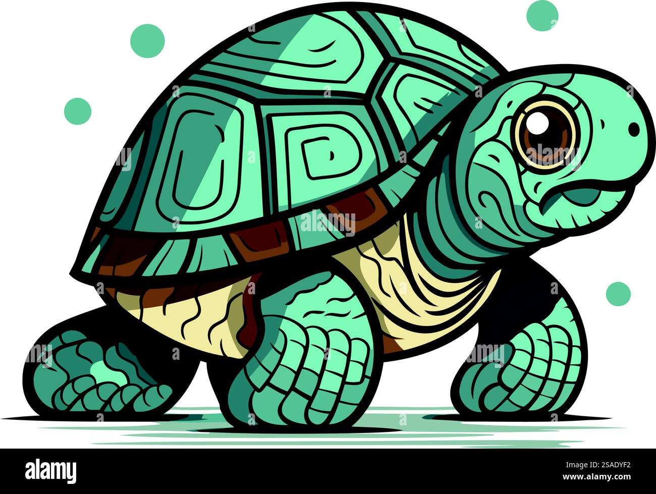 Cute cartoon turtle. Vector illustration isolated on a white background ...